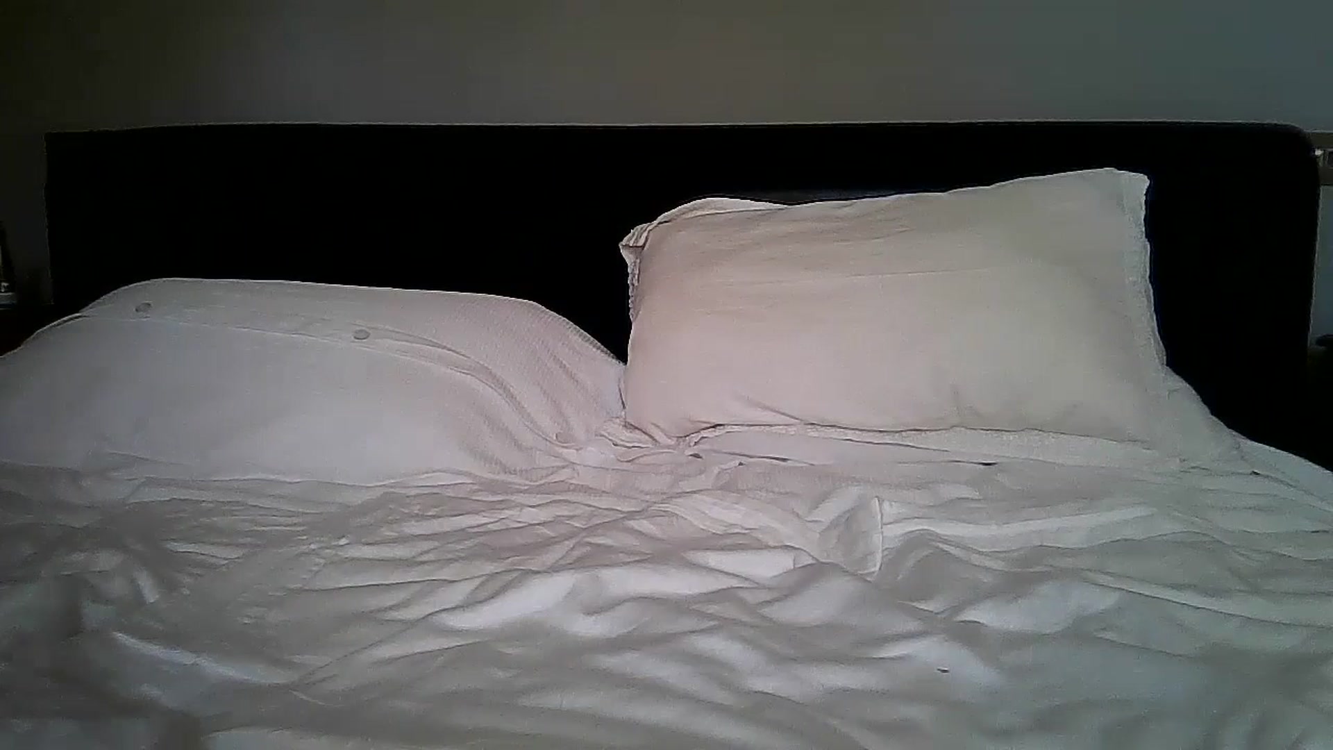 Gallery image thumbnail from FitBaby's myfreecams stream on, 07/07/2023, 15:18 image 7 of 20