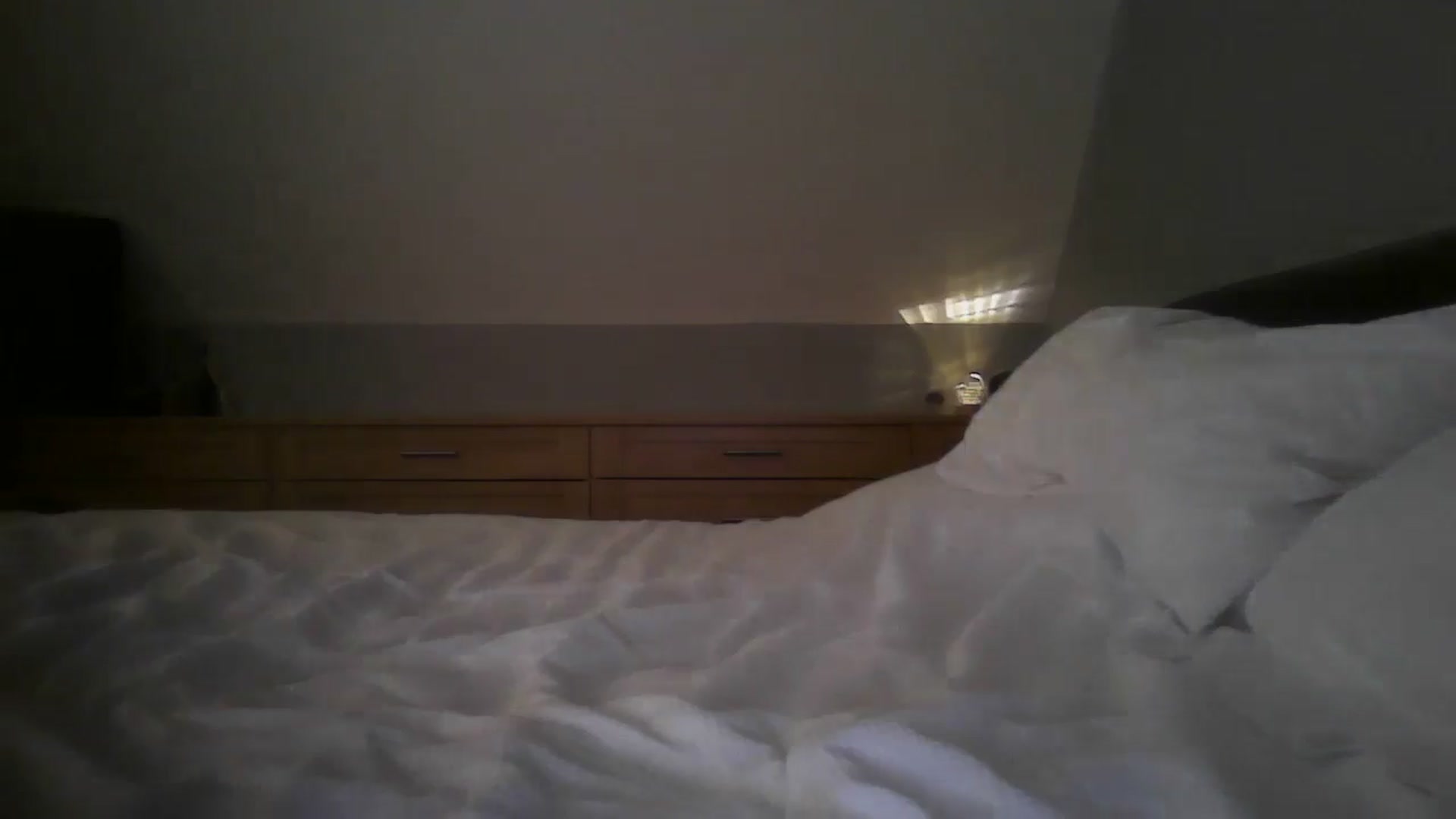 Gallery image thumbnail from FitBaby's myfreecams stream on, 06/18/2024, 14:17 image 10 of 20