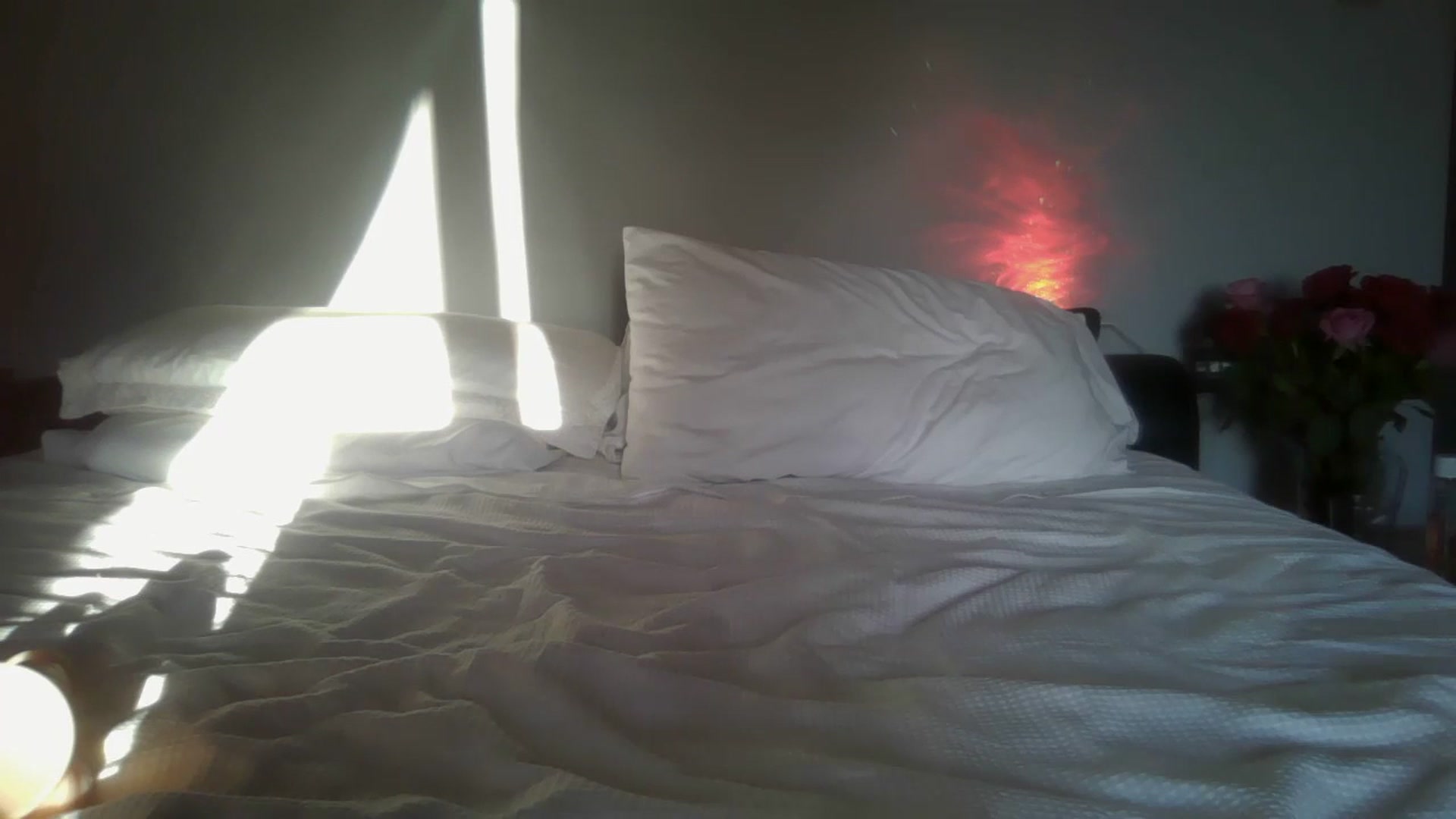 Gallery image thumbnail from FitBaby's myfreecams stream on, 02/26/2025, 16:58 image 19 of 20
