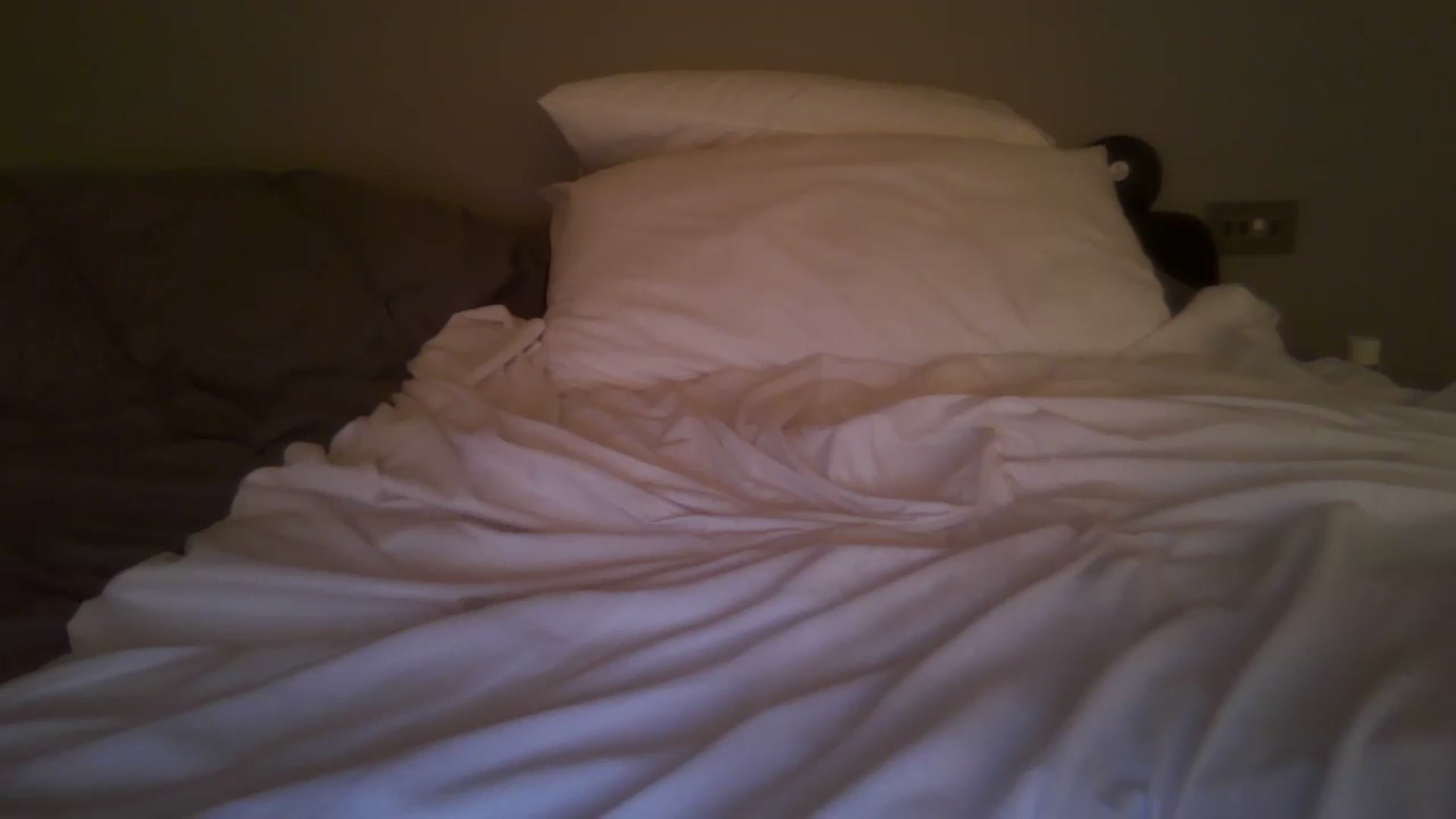 Gallery image thumbnail from FitBaby's myfreecams stream on, 03/24/2025, 16:49 image 13 of 20