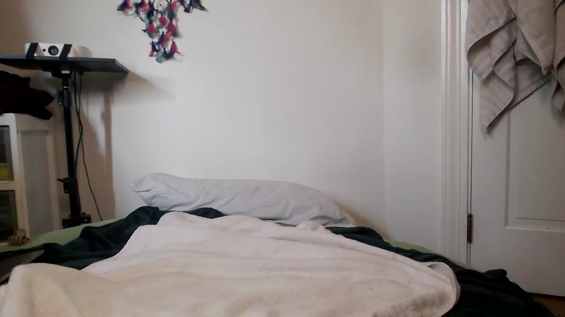 Gallery image thumbnail from FitMILFAlissa's myfreecams stream on, 06/08/2025, 20:07 image 17 of 20