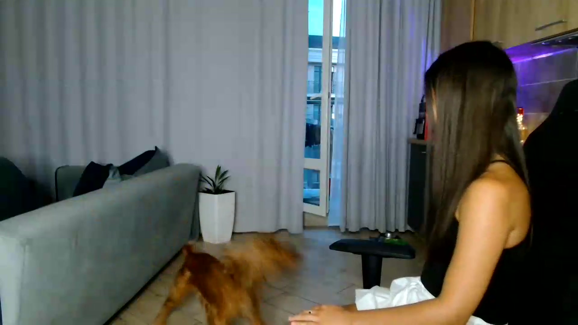Gallery image thumbnail from FitXoxo's myfreecams stream on, 07/16/2026, 18:09 image 7 of 20