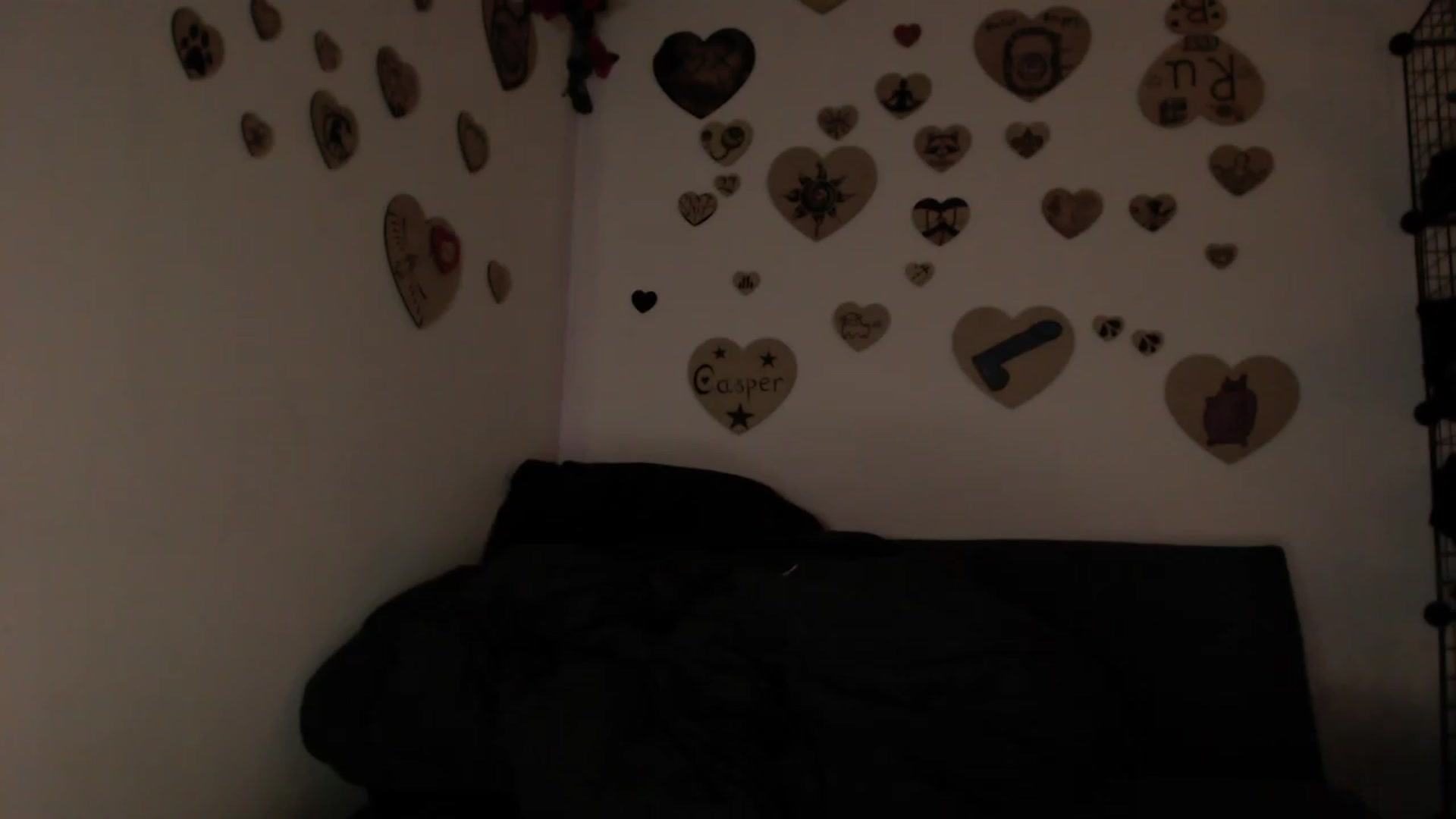 Gallery image thumbnail from FiveYears's myfreecams stream on, 07/23/2023, 04:51 image 9 of 20
