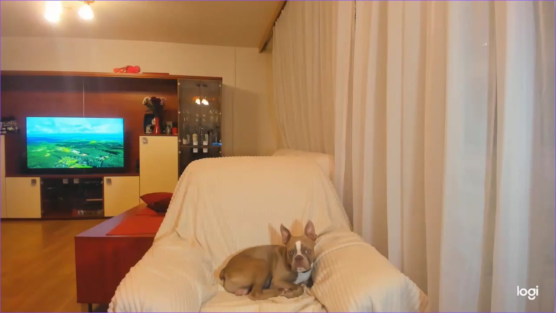 Gallery image thumbnail from FlamingoDream's myfreecams stream on, 09/26/2024, 23:37 image 13 of 20