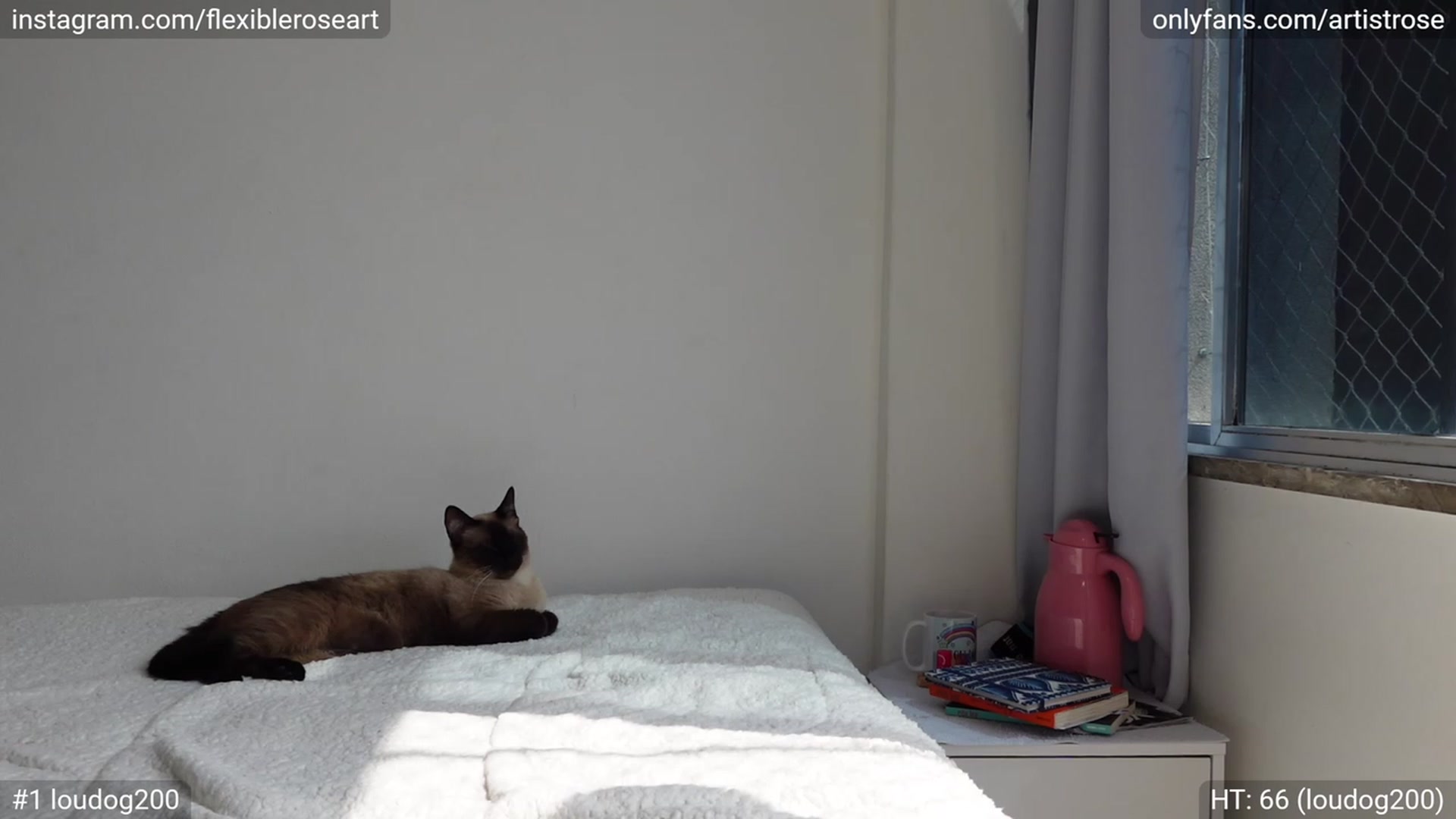 Gallery image thumbnail from FlexibleRose's myfreecams stream on, 08/30/2023, 16:04 image 15 of 20