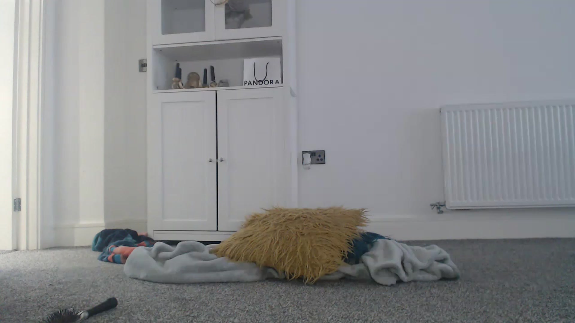 Gallery image thumbnail from FlirtyPhoebe's myfreecams stream on, 11/16/2022, 13:54 image 9 of 20