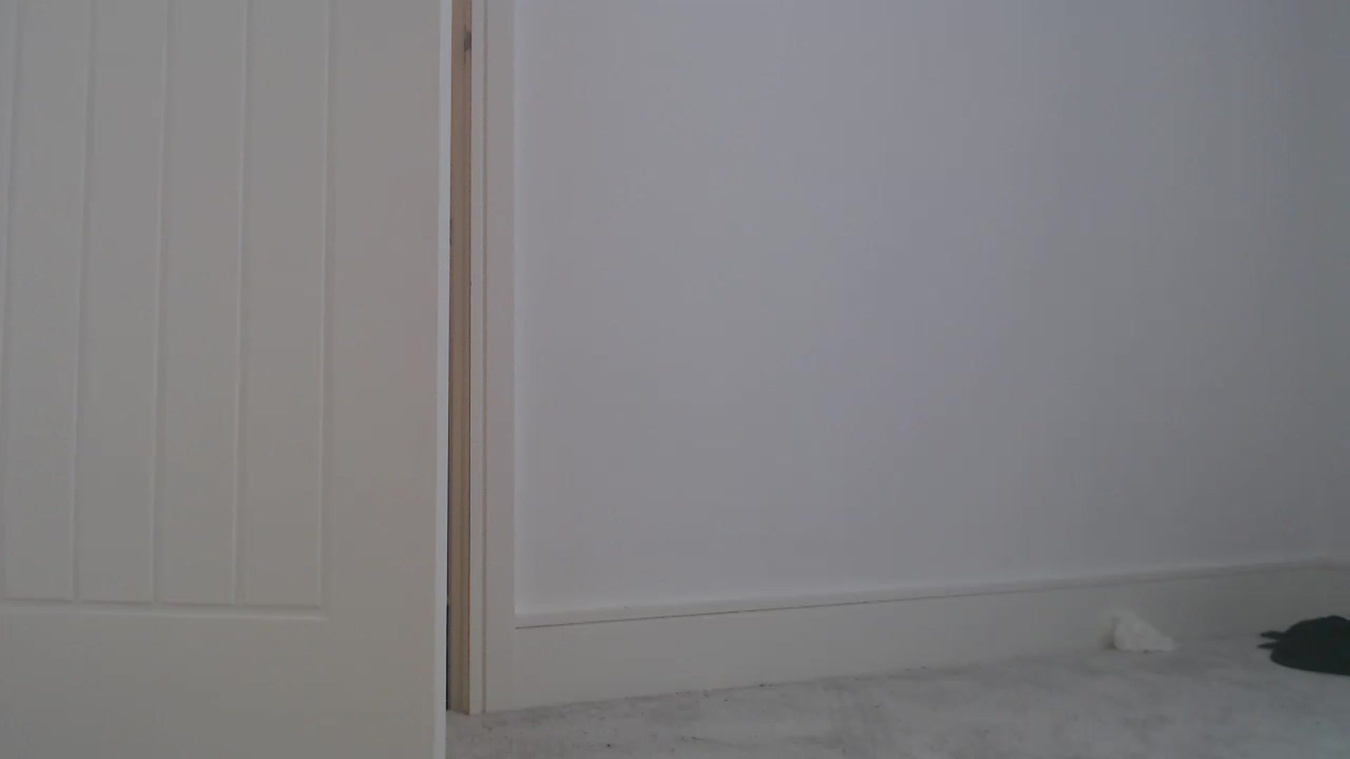 Gallery image thumbnail from FlirtyPhoebe's myfreecams stream on, 11/22/2022, 12:29 image 12 of 20