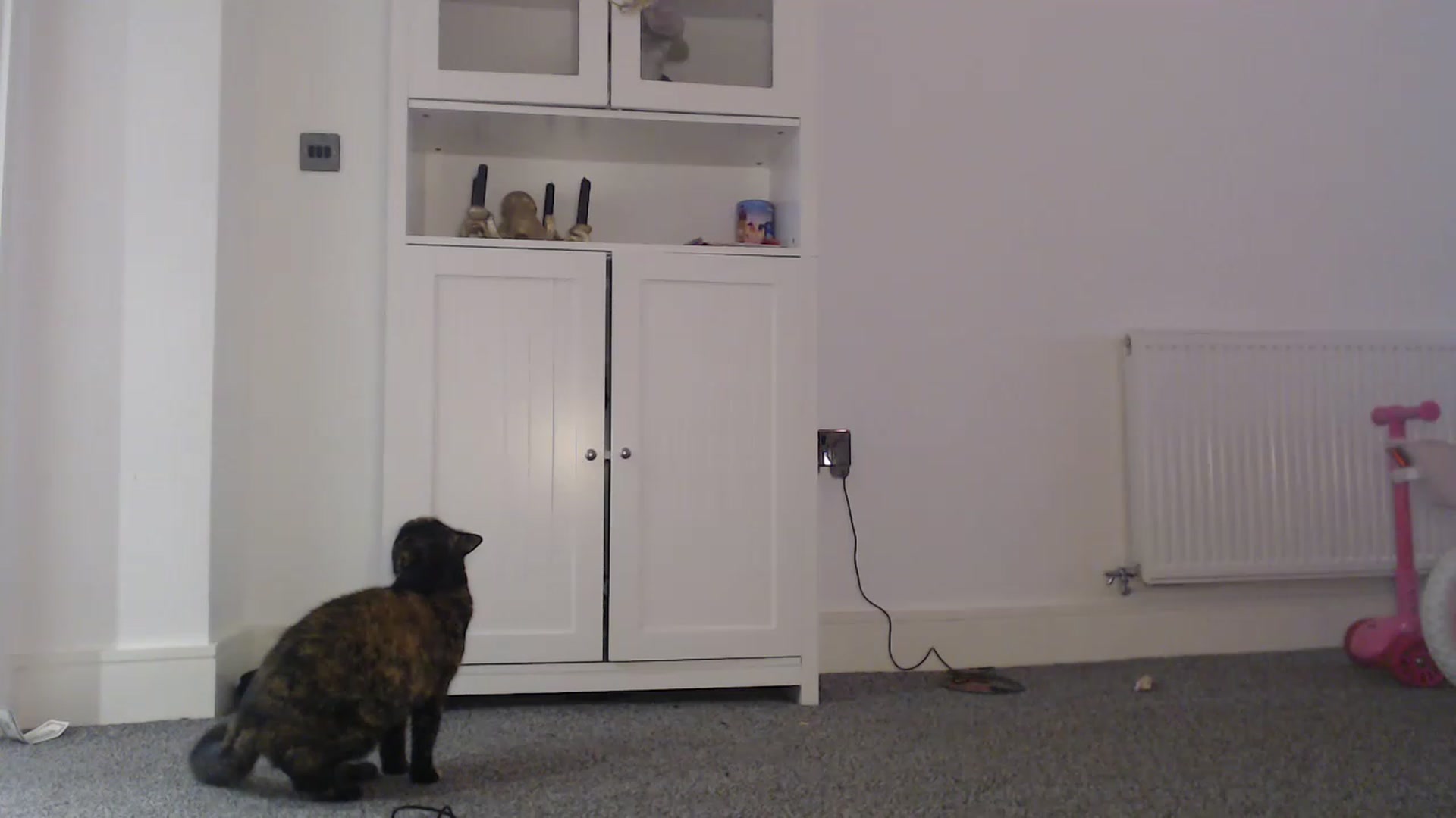 Gallery image thumbnail from FlirtyPhoebe's myfreecams stream on, 11/24/2022, 12:38 image 6 of 20