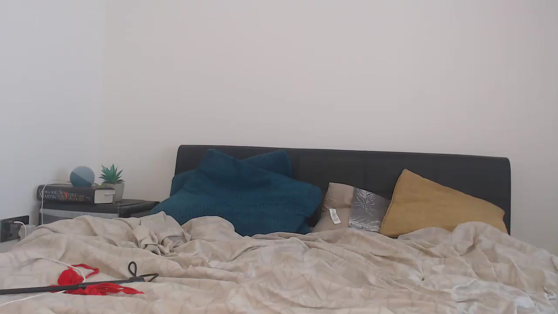 Gallery image thumbnail from FlirtyPhoebe's myfreecams stream on, 11/25/2022, 11:15 image 3 of 20