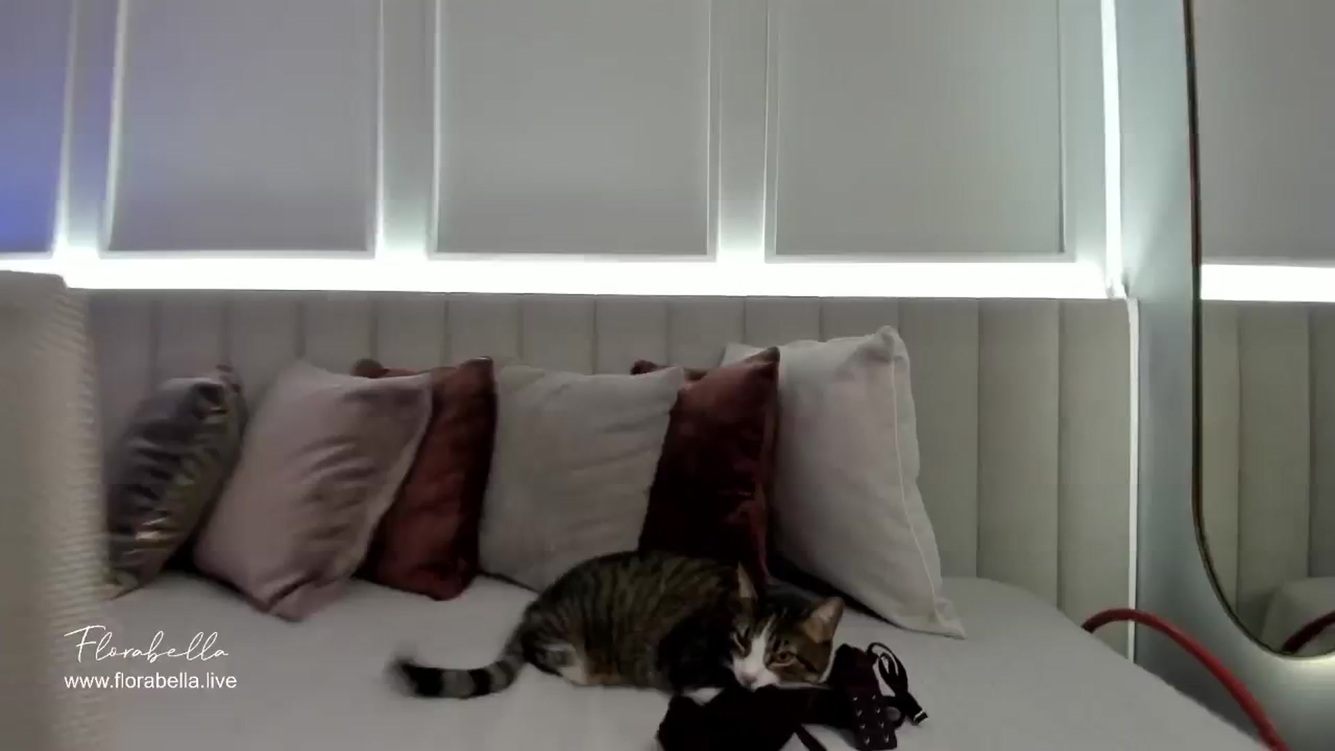 Gallery image thumbnail from Florabella's myfreecams stream on, 08/21/2024, 05:54 image 20 of 20