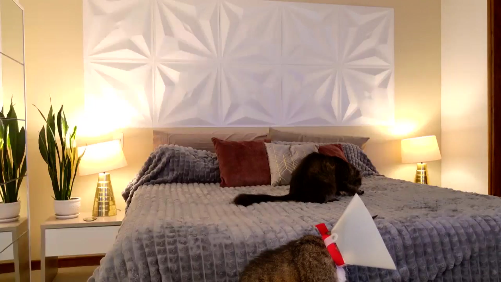 Gallery image thumbnail from Florabella's myfreecams stream on, 02/19/2025, 04:43 image 13 of 20