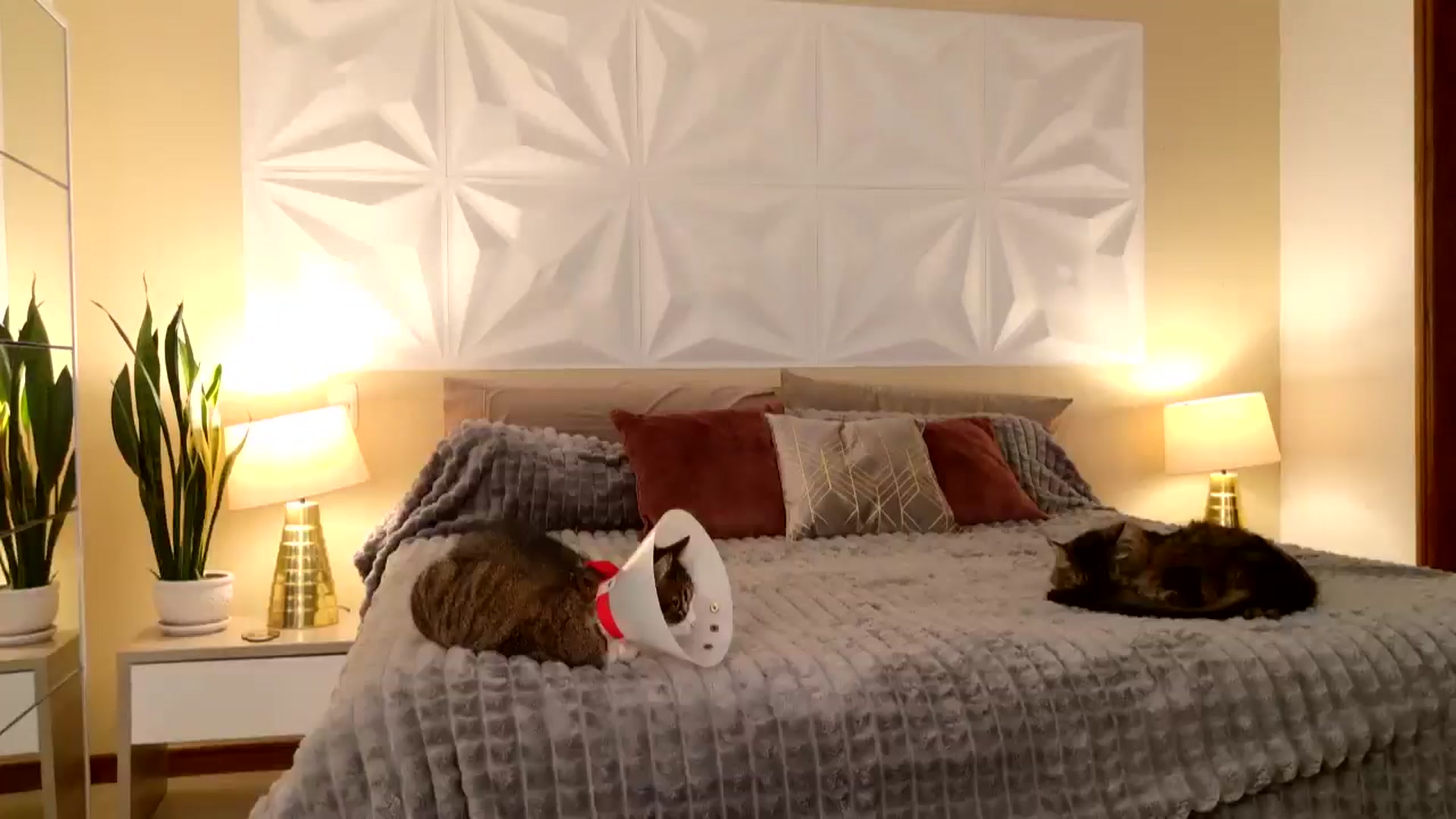 Gallery image thumbnail from Florabella's myfreecams stream on, 02/19/2025, 04:43 image 10 of 20