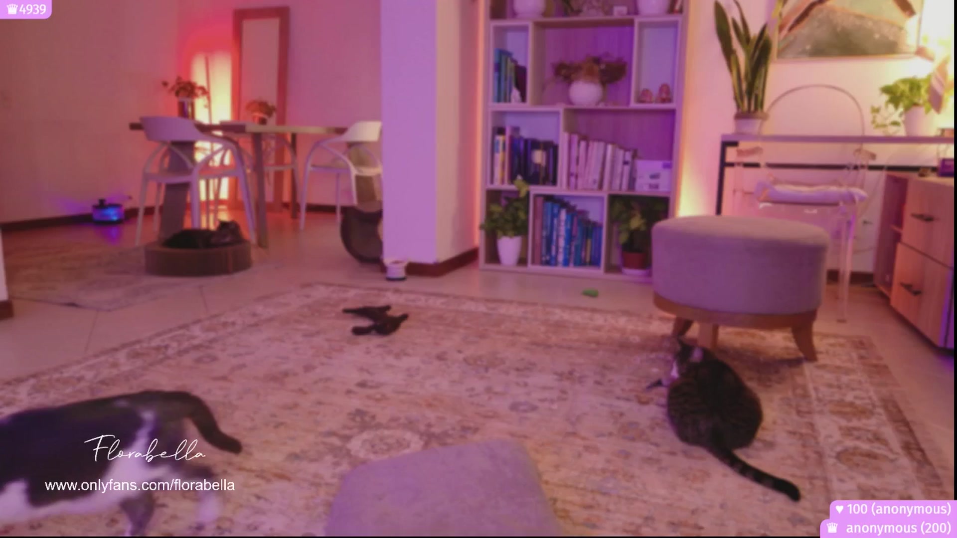 Gallery image thumbnail from Florabella's myfreecams stream on, 11/05/2025, 01:40 image 4 of 20