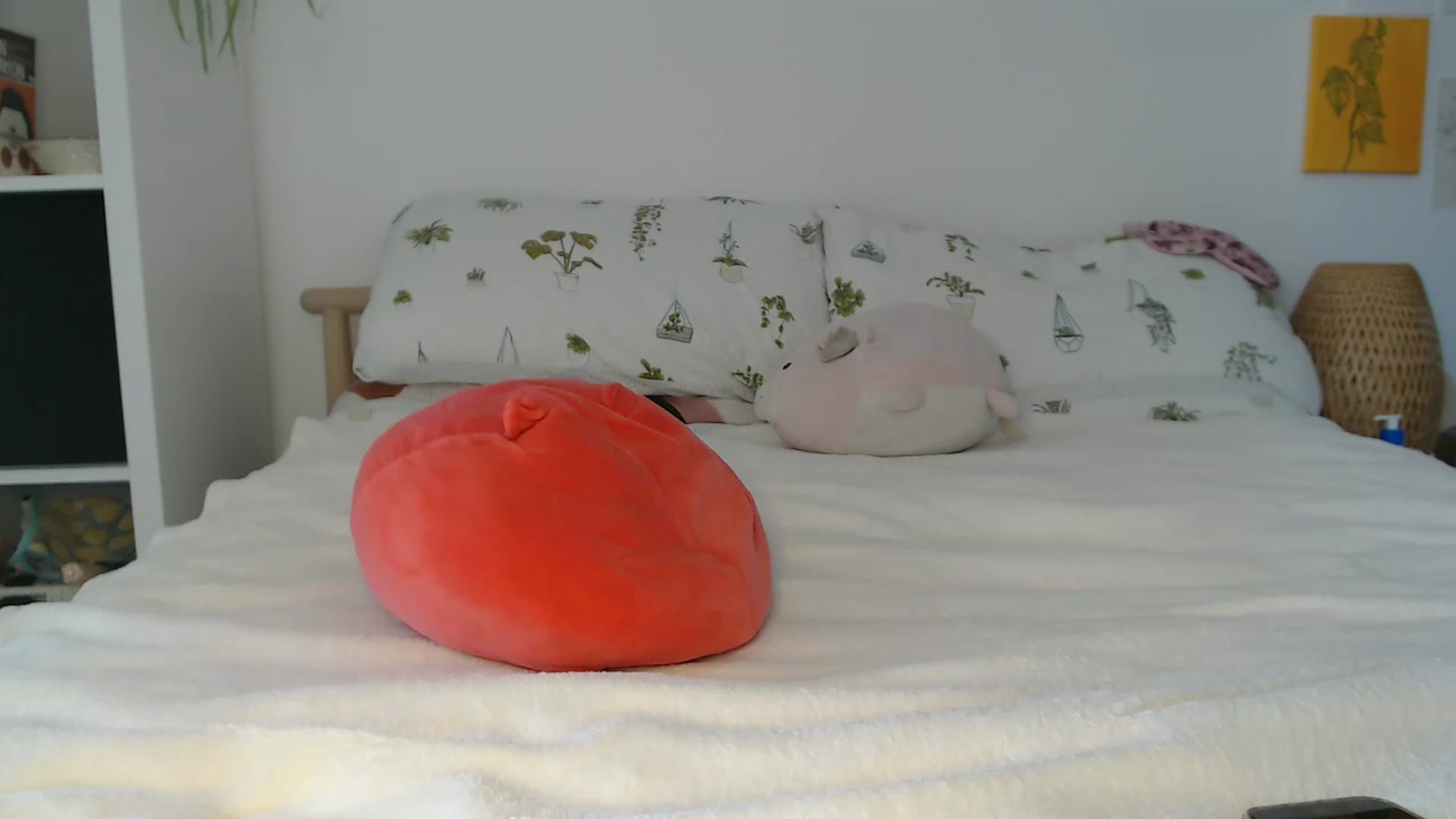 Gallery image thumbnail from FlorenceRose1's myfreecams stream on, 05/29/2025, 15:38 image 10 of 20