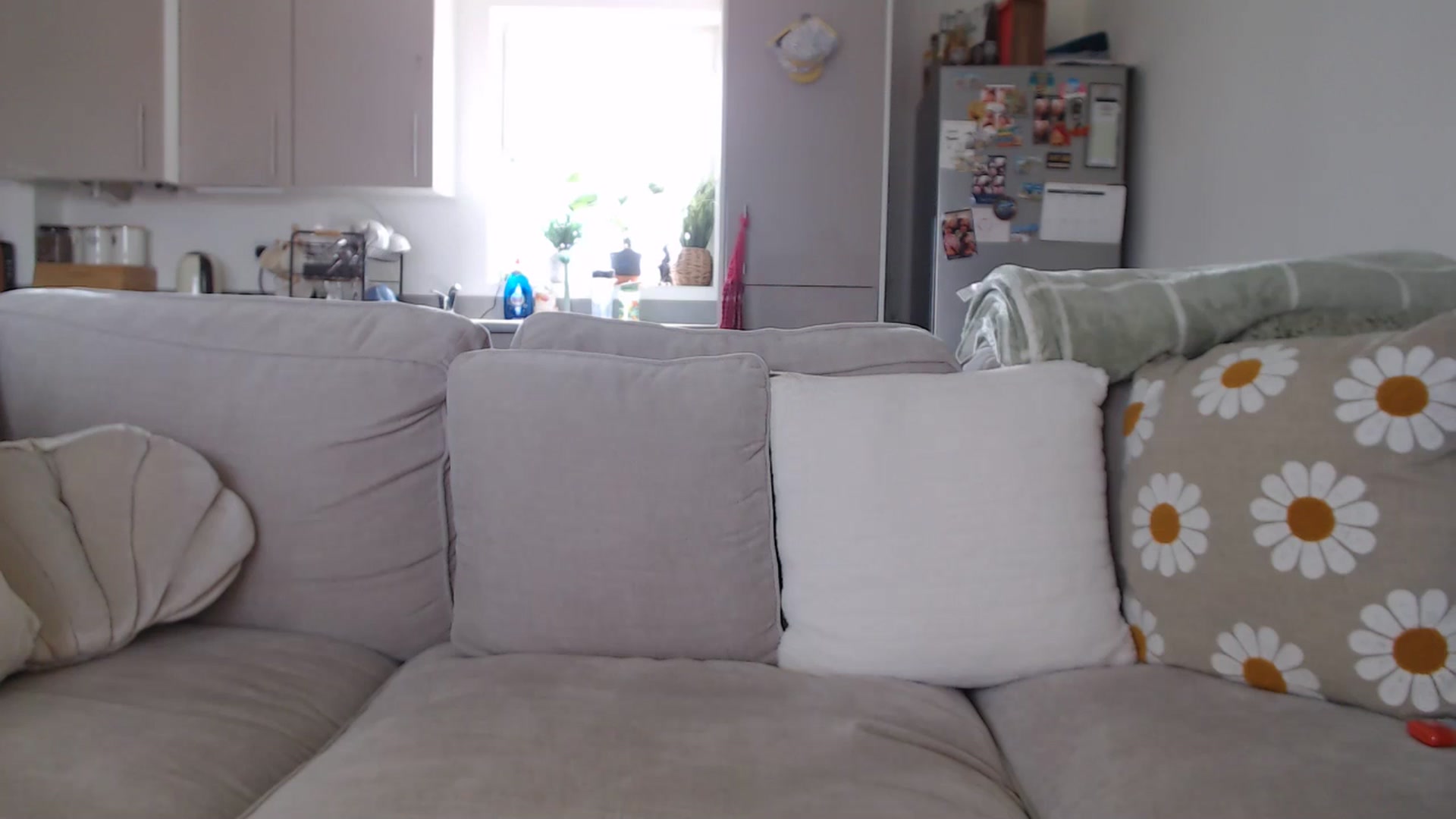 Gallery image thumbnail from FlorenceRose1's myfreecams stream on, 05/30/2025, 14:42 image 18 of 20