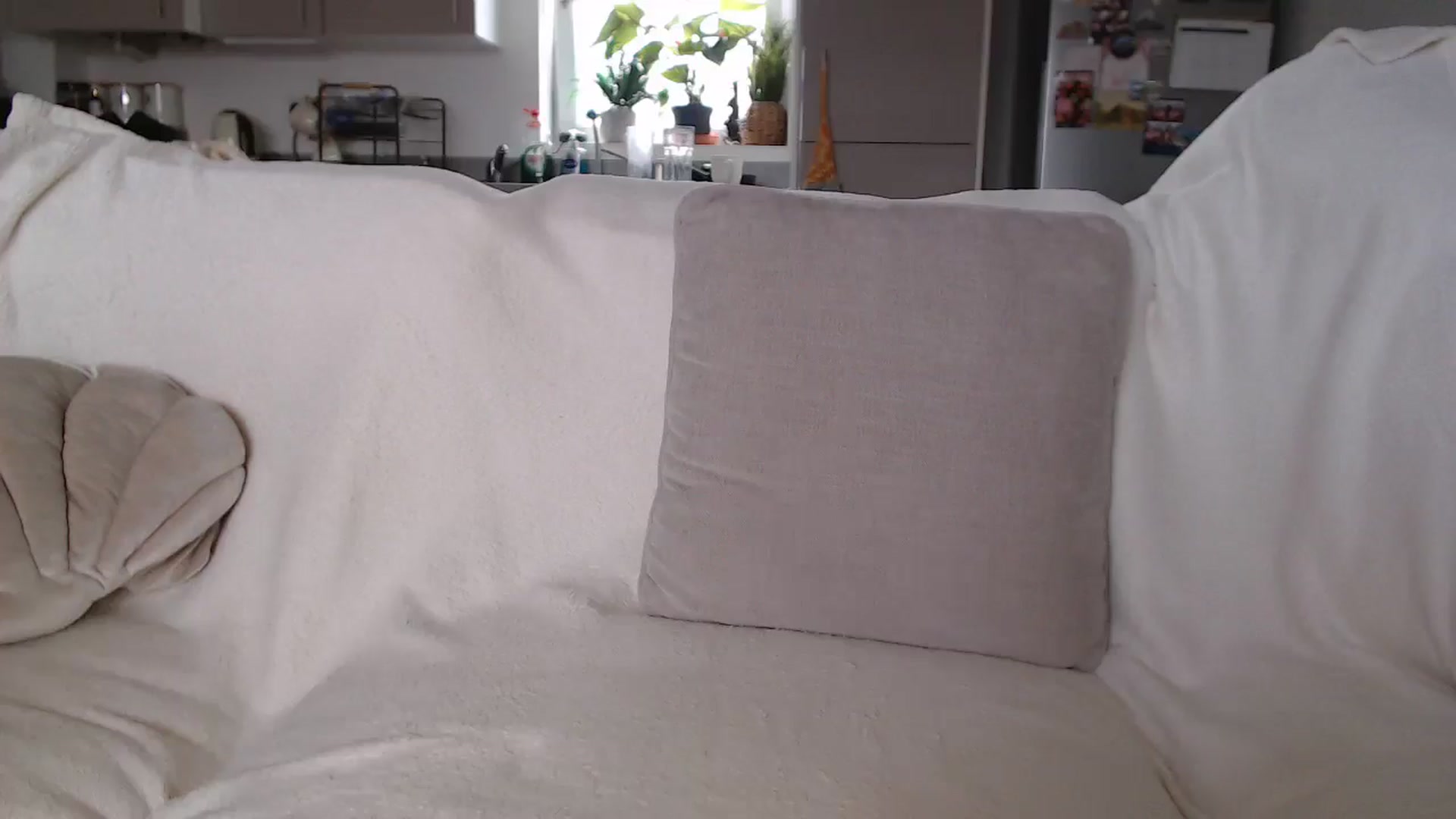 Gallery image thumbnail from FlorenceRose1's myfreecams stream on, 07/07/2025, 13:54 image 5 of 20