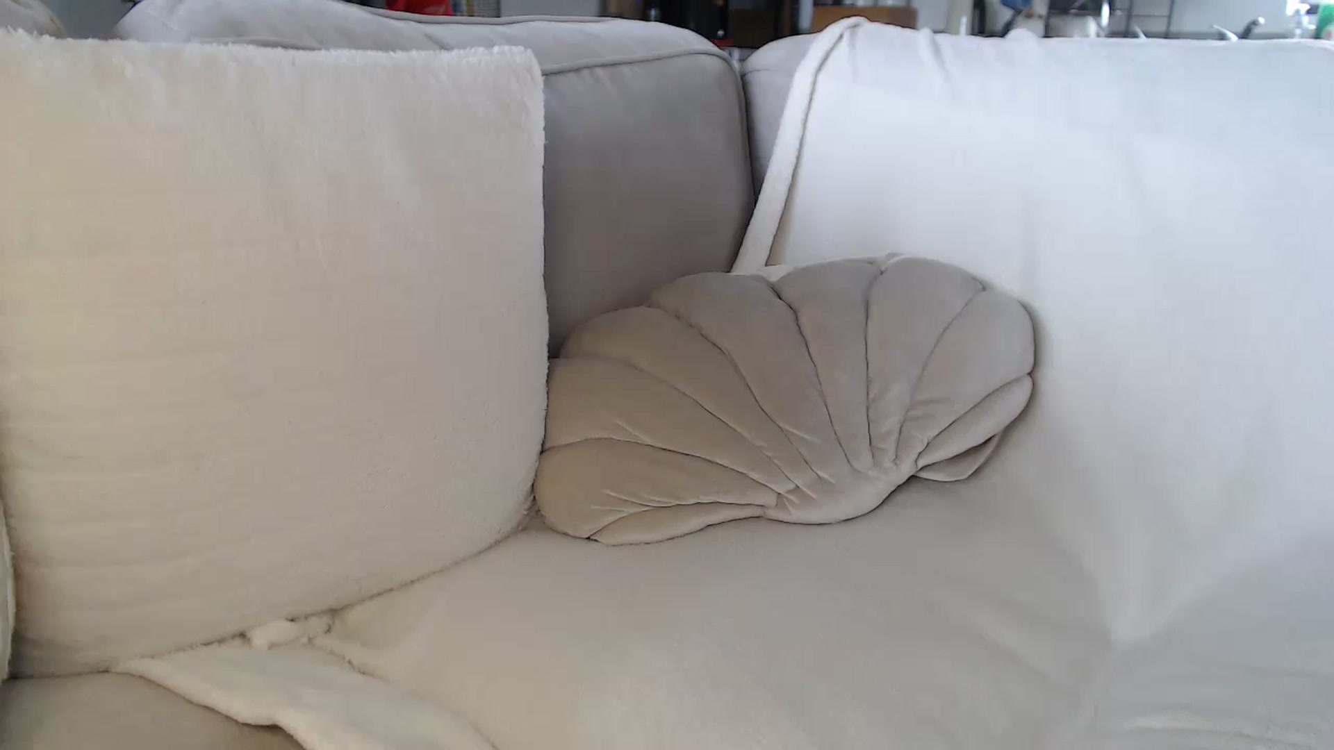 Gallery image thumbnail from FlorenceRose1's myfreecams stream on, 08/14/2025, 13:58 image 6 of 20