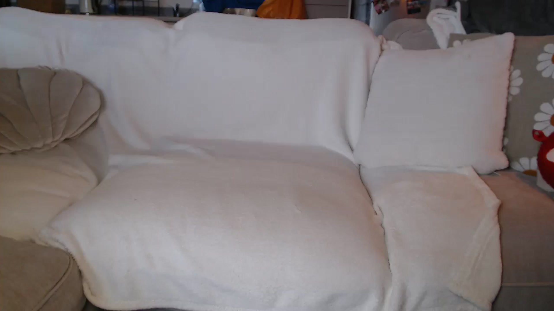 Gallery image thumbnail from FlorenceRose1's myfreecams stream on, 10/31/2025, 16:07 image 5 of 20