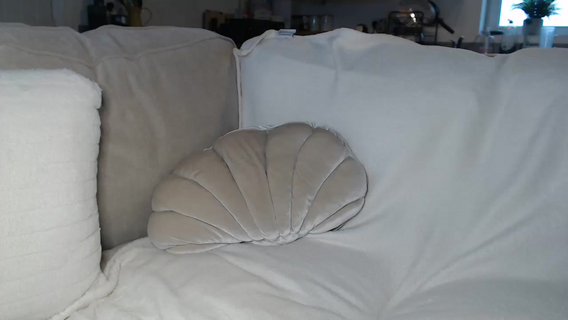 Gallery image thumbnail from FlorenceRose1's myfreecams stream on, 11/03/2025, 16:24 image 13 of 20