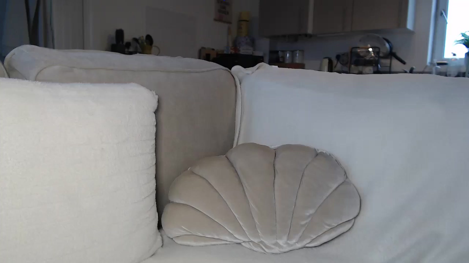 Gallery image thumbnail from FlorenceRose1's myfreecams stream on, 11/03/2025, 16:24 image 1 of 20