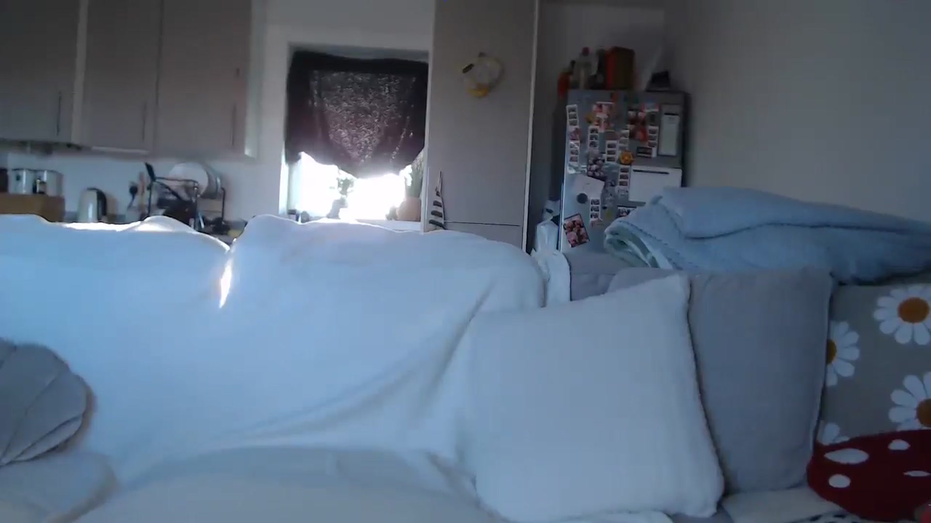 Gallery image thumbnail from FlorenceRose1's myfreecams stream on, 11/21/2025, 15:32 image 2 of 20