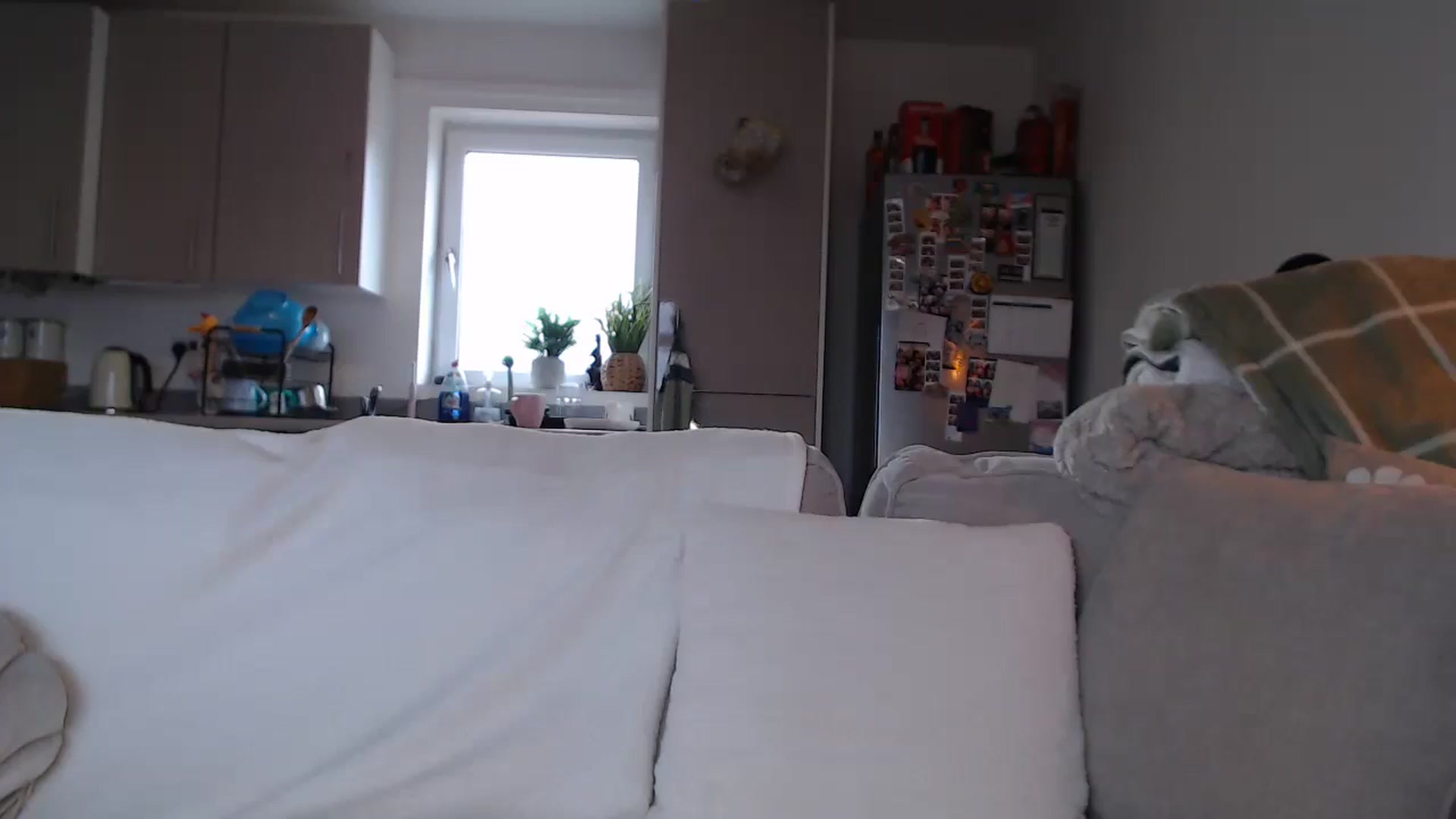 Gallery image thumbnail from FlorenceRose1's myfreecams stream on, 01/09/2026, 13:52 image 16 of 20