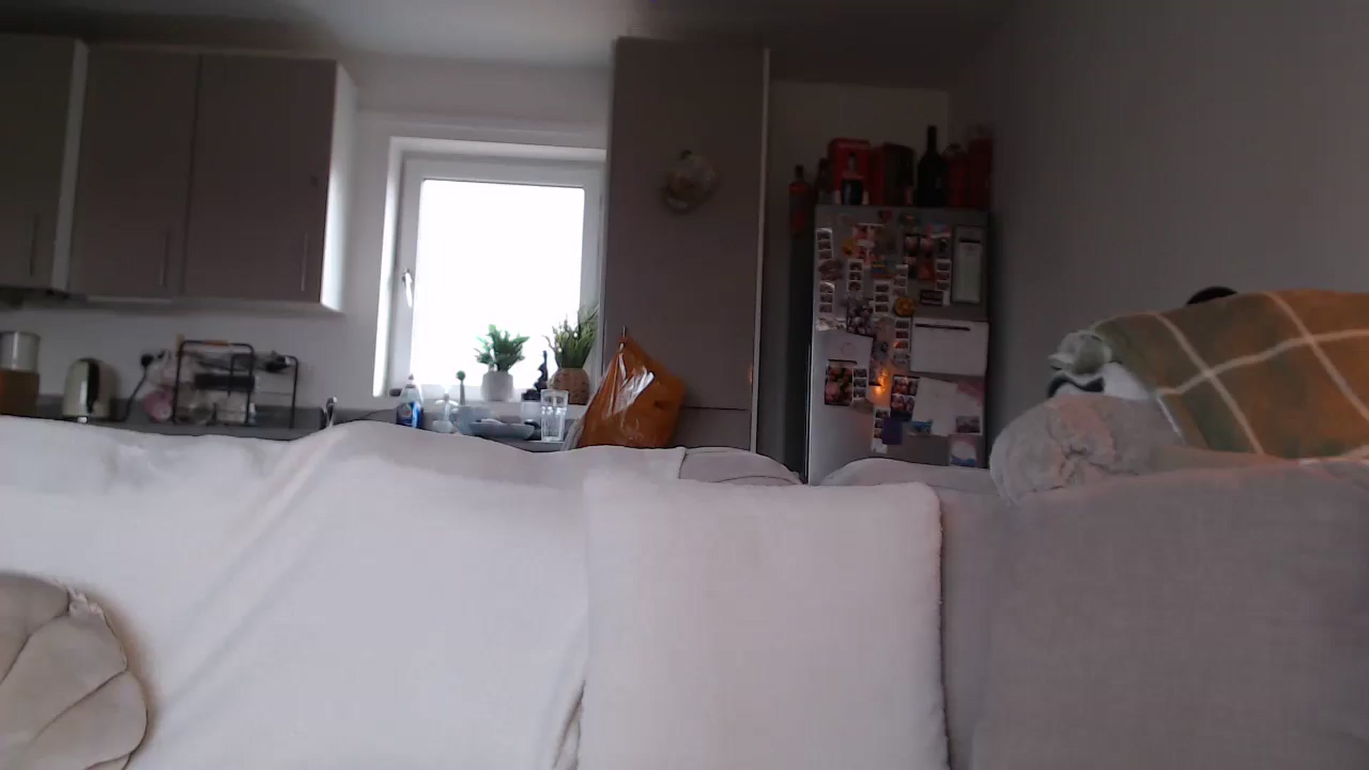 Gallery image thumbnail from FlorenceRose1's myfreecams stream on, 01/12/2026, 14:34 image 6 of 20