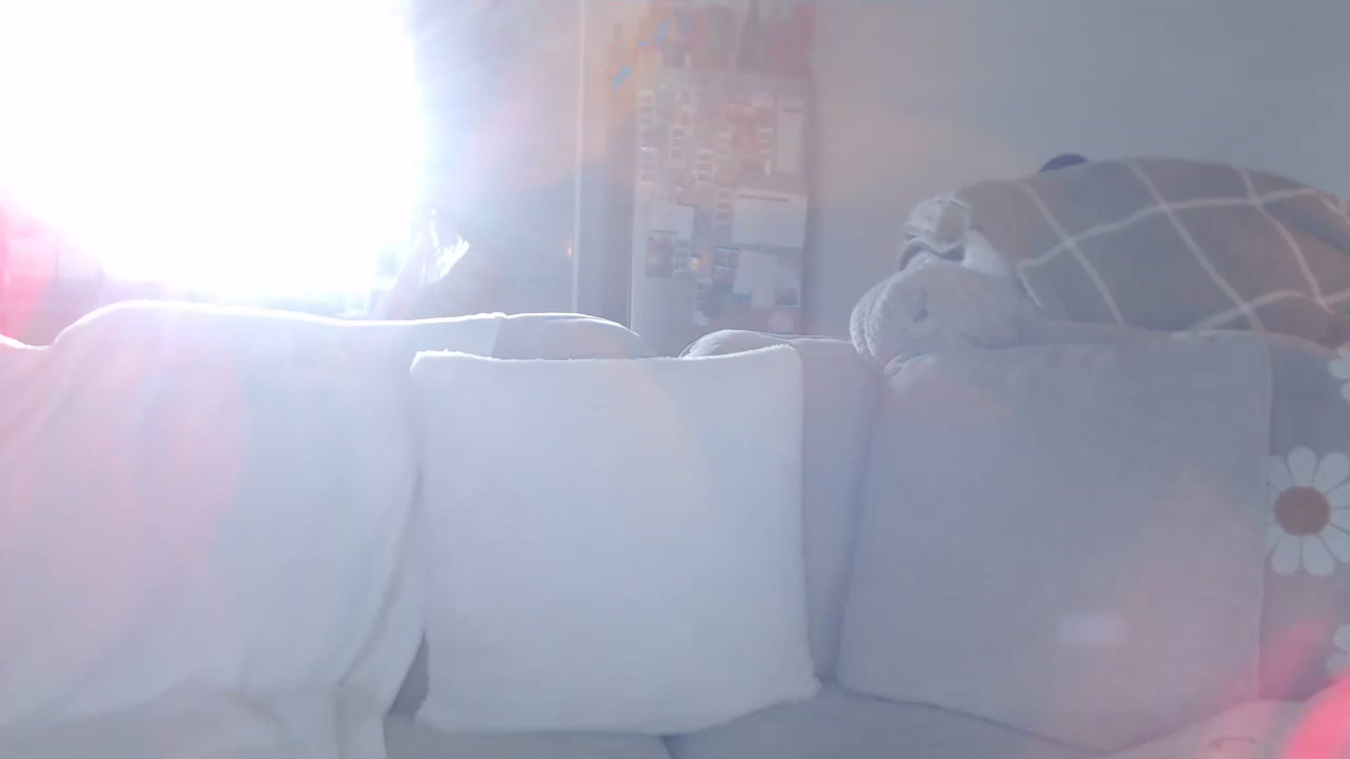 Gallery image thumbnail from FlorenceRose1's myfreecams stream on, 01/12/2026, 14:56 image 5 of 20