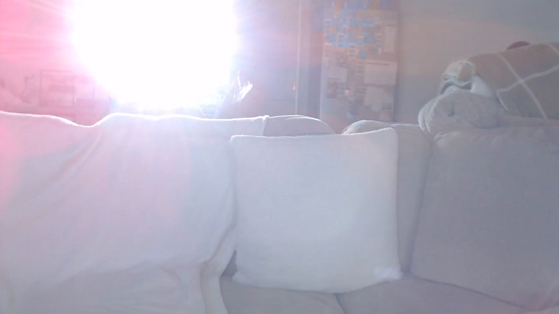Gallery image thumbnail from FlorenceRose1's myfreecams stream on, 01/12/2026, 14:56 image 7 of 20
