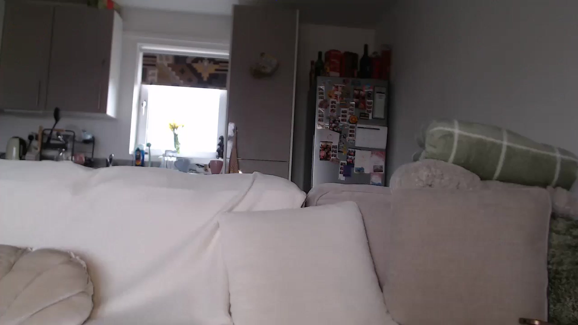 Gallery image thumbnail from FlorenceRose1's myfreecams stream on, 02/06/2026, 14:32 image 12 of 20