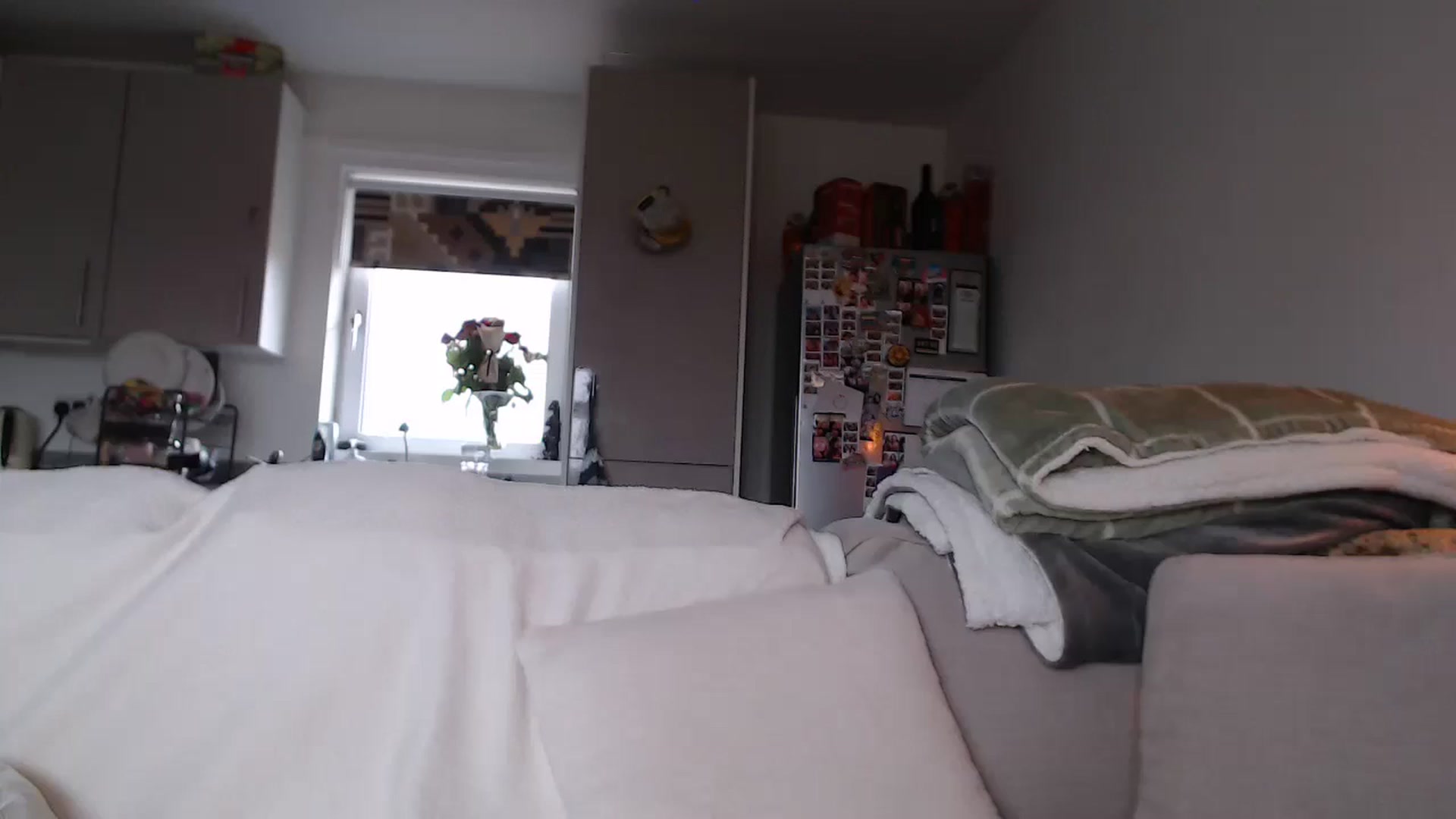Gallery image thumbnail from FlorenceRose1's myfreecams stream on, 02/23/2026, 14:38 image 1 of 20