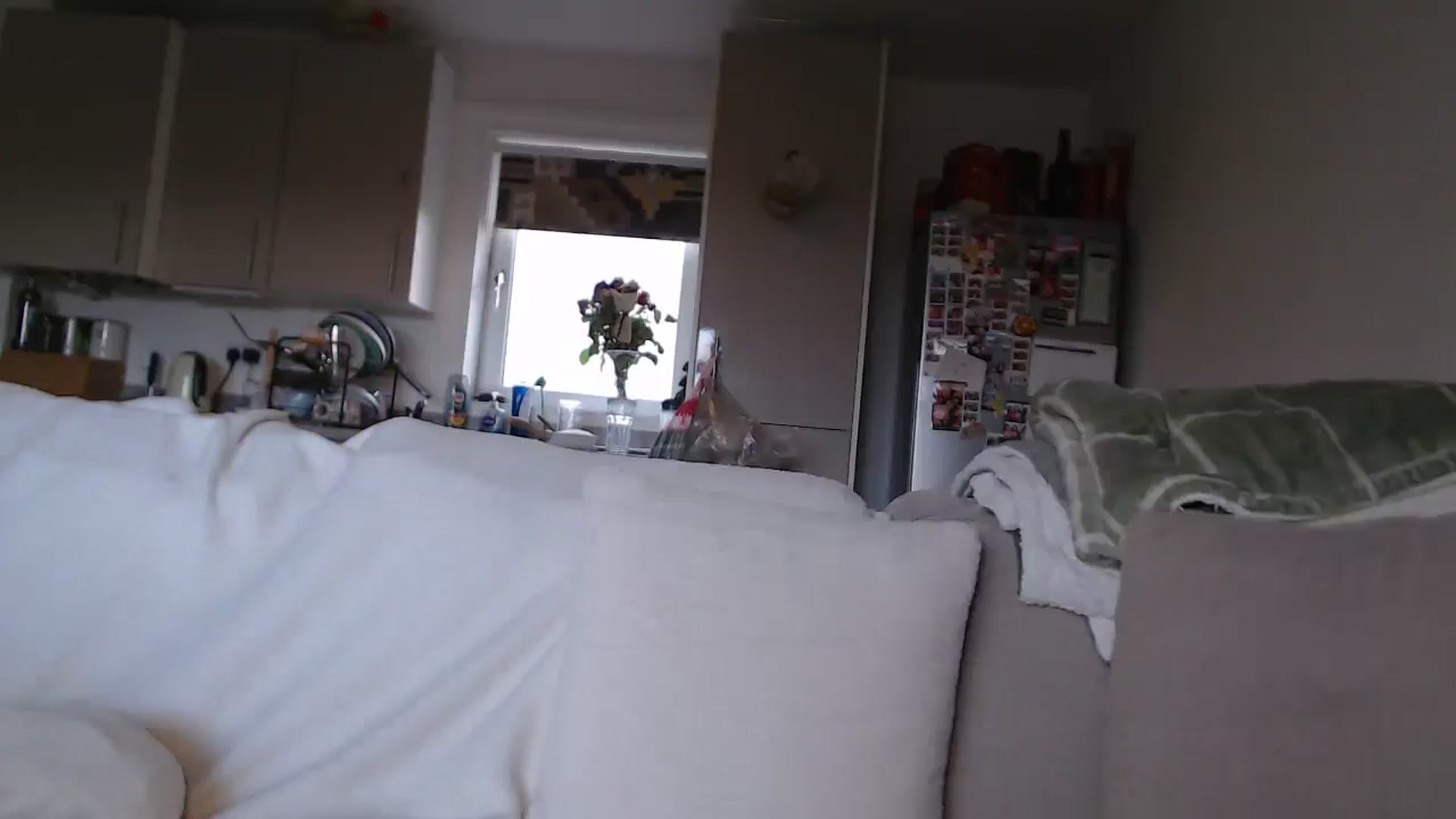Gallery image thumbnail from FlorenceRose1's myfreecams stream on, 02/27/2026, 16:06 image 5 of 20