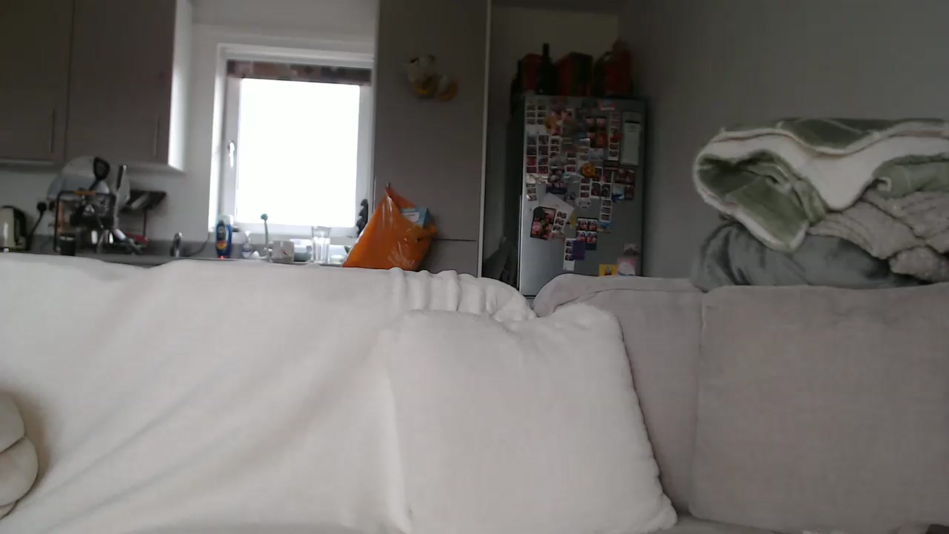 Gallery image thumbnail from FlorenceRose1's myfreecams stream on, 05/18/2026, 15:01 image 19 of 20