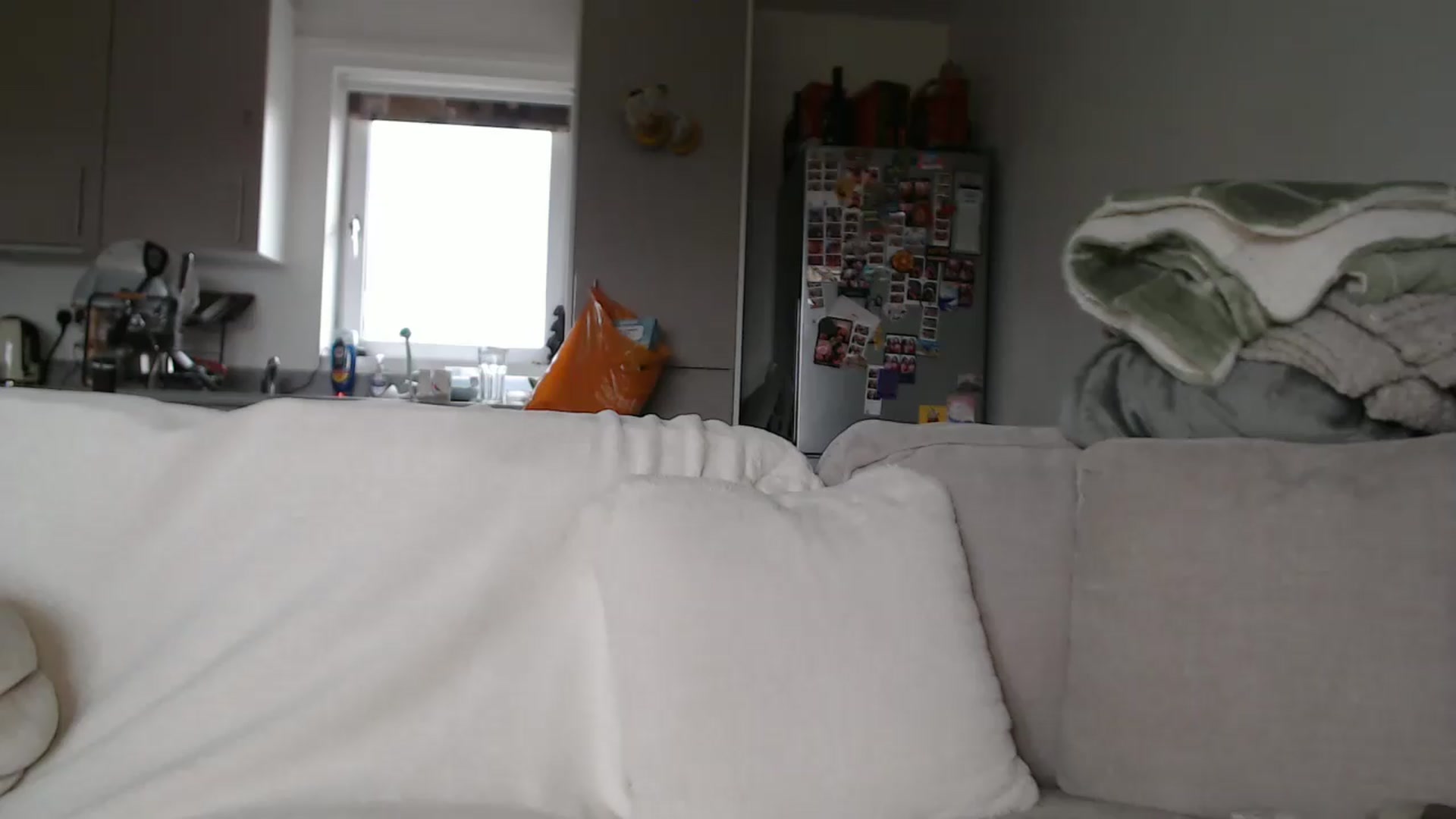 Gallery image thumbnail from FlorenceRose1's myfreecams stream on, 05/18/2026, 15:01 image 20 of 20