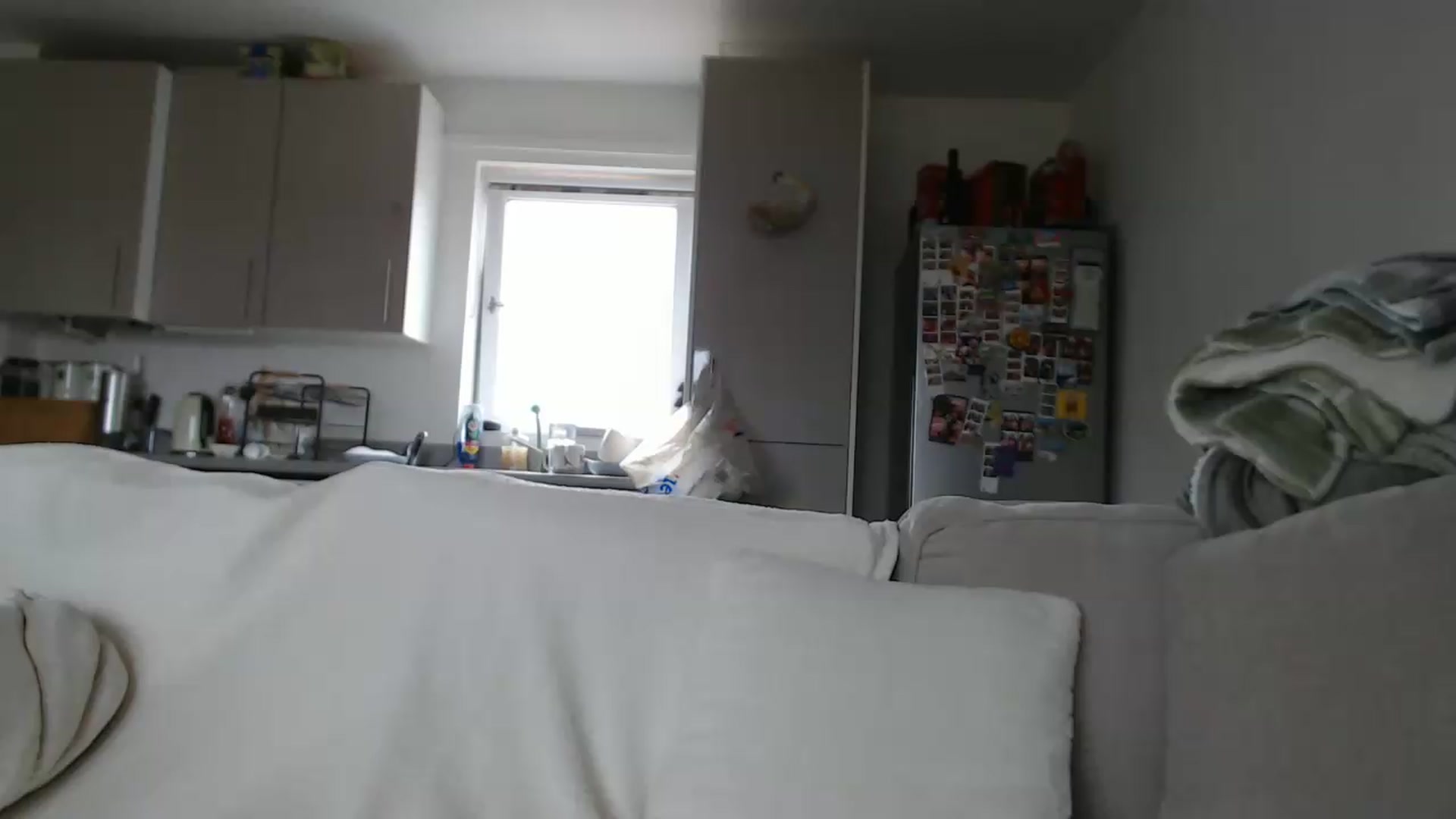 Gallery image thumbnail from FlorenceRose1's myfreecams stream on, 05/29/2026, 12:53 image 12 of 20