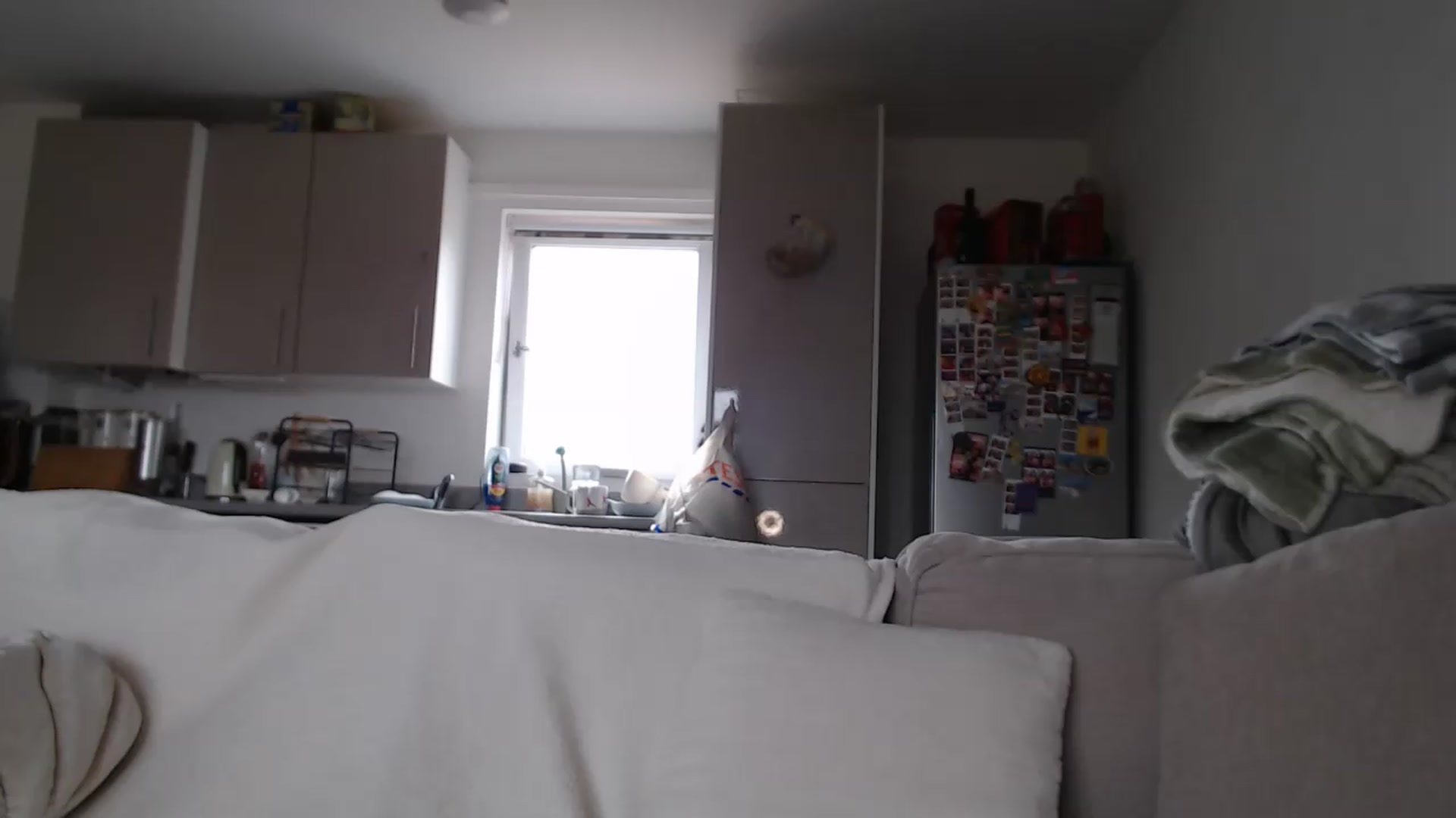 Gallery image thumbnail from FlorenceRose1's myfreecams stream on, 05/29/2026, 12:53 image 20 of 20