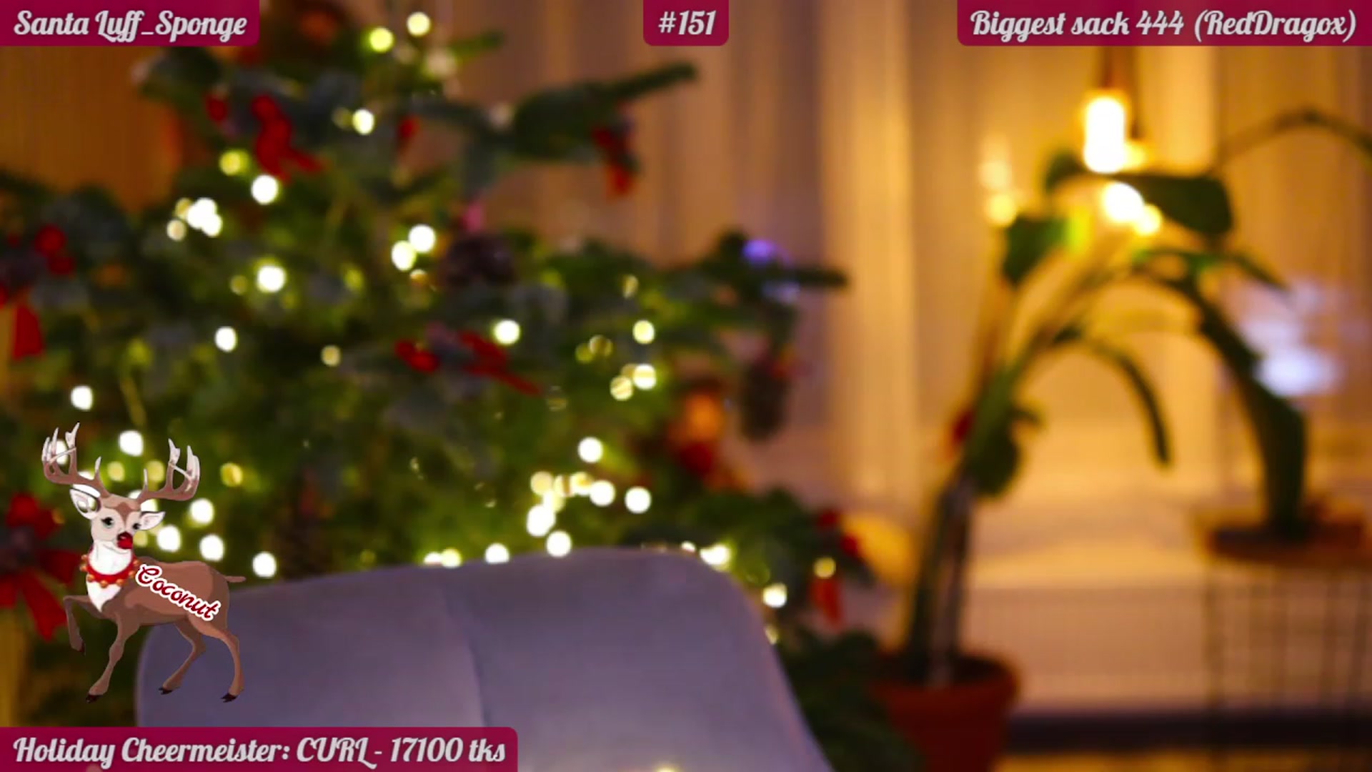 Gallery image thumbnail from FluffinRayRay's myfreecams stream on, 12/17/2022, 03:26 image 3 of 20