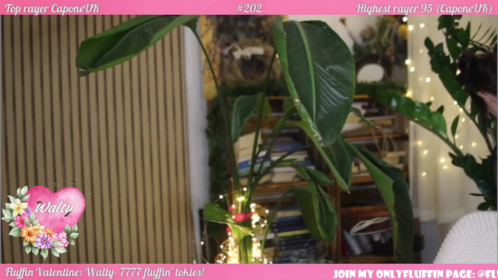 Gallery image thumbnail from FluffinRayRay's myfreecams stream on, 02/12/2023, 02:49 image 3 of 20