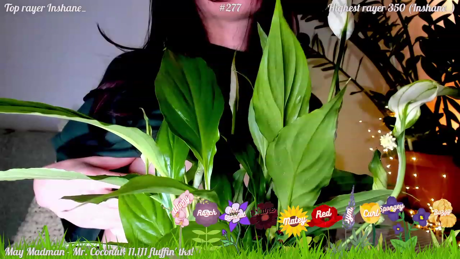 Gallery image thumbnail from FluffinRayRay's myfreecams stream on, 05/12/2023, 02:43 image 11 of 20