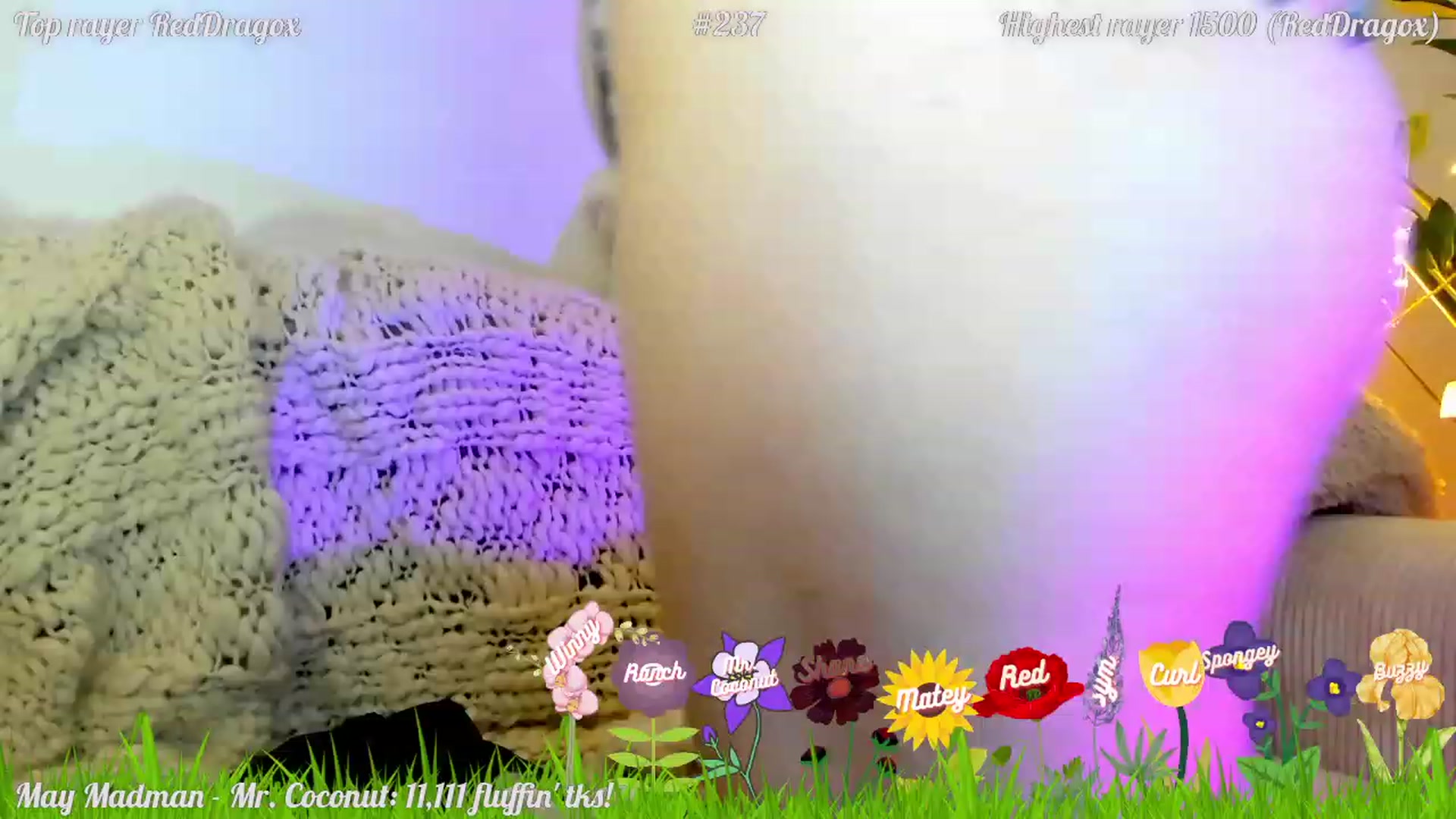 Gallery image thumbnail from FluffinRayRay's myfreecams stream on, 05/13/2023, 01:54 image 8 of 20