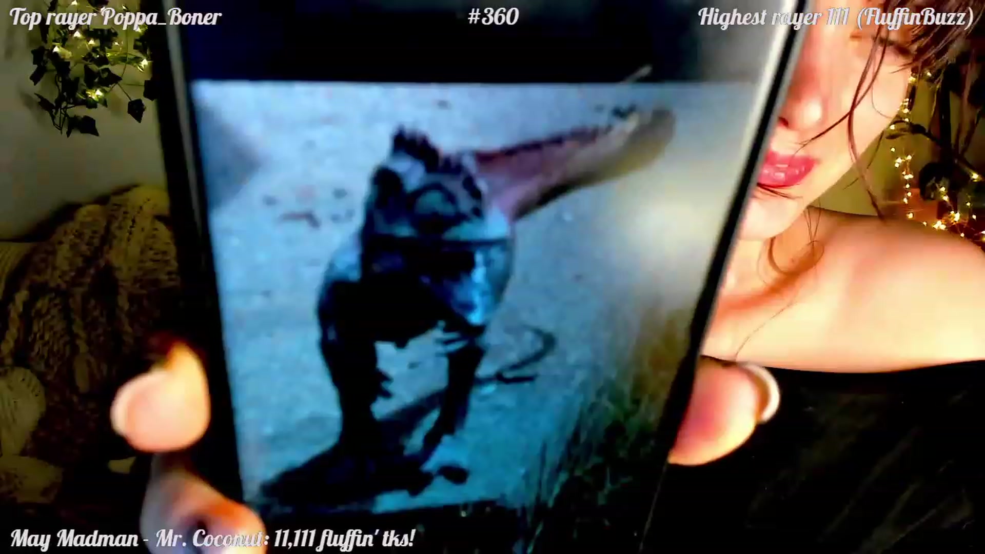 Gallery image thumbnail from FluffinRayRay's myfreecams stream on, 05/29/2023, 01:21 image 8 of 20