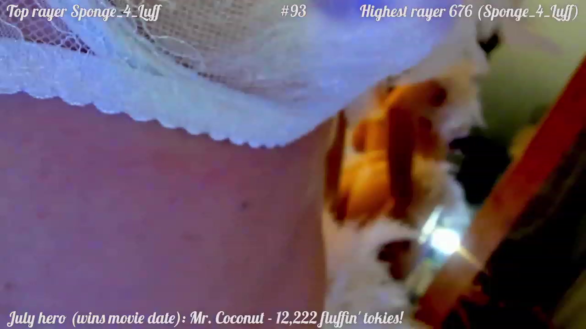 Gallery image thumbnail from FluffinRayRay's myfreecams stream on, 07/30/2023, 22:19 image 10 of 20