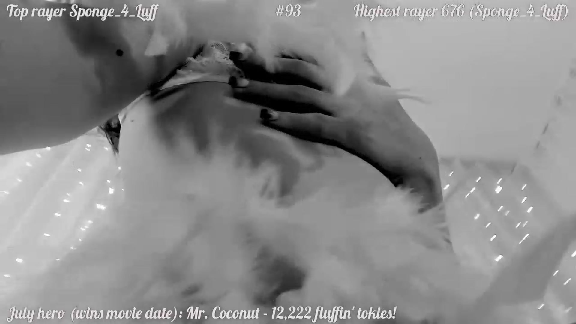 Gallery image thumbnail from FluffinRayRay's myfreecams stream on, 07/30/2023, 22:19 image 20 of 20