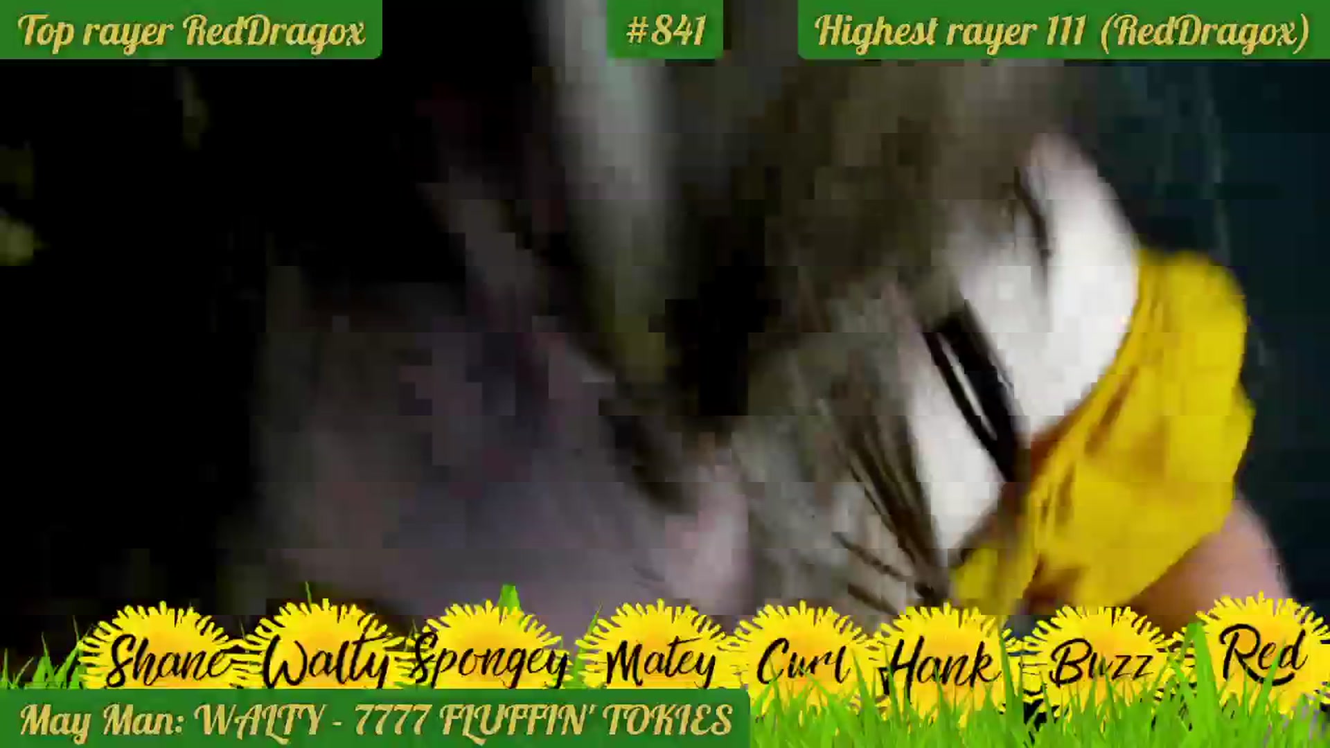 Gallery image thumbnail from FluffinRayRay's myfreecams stream on, 05/25/2024, 24:56 image 13 of 20