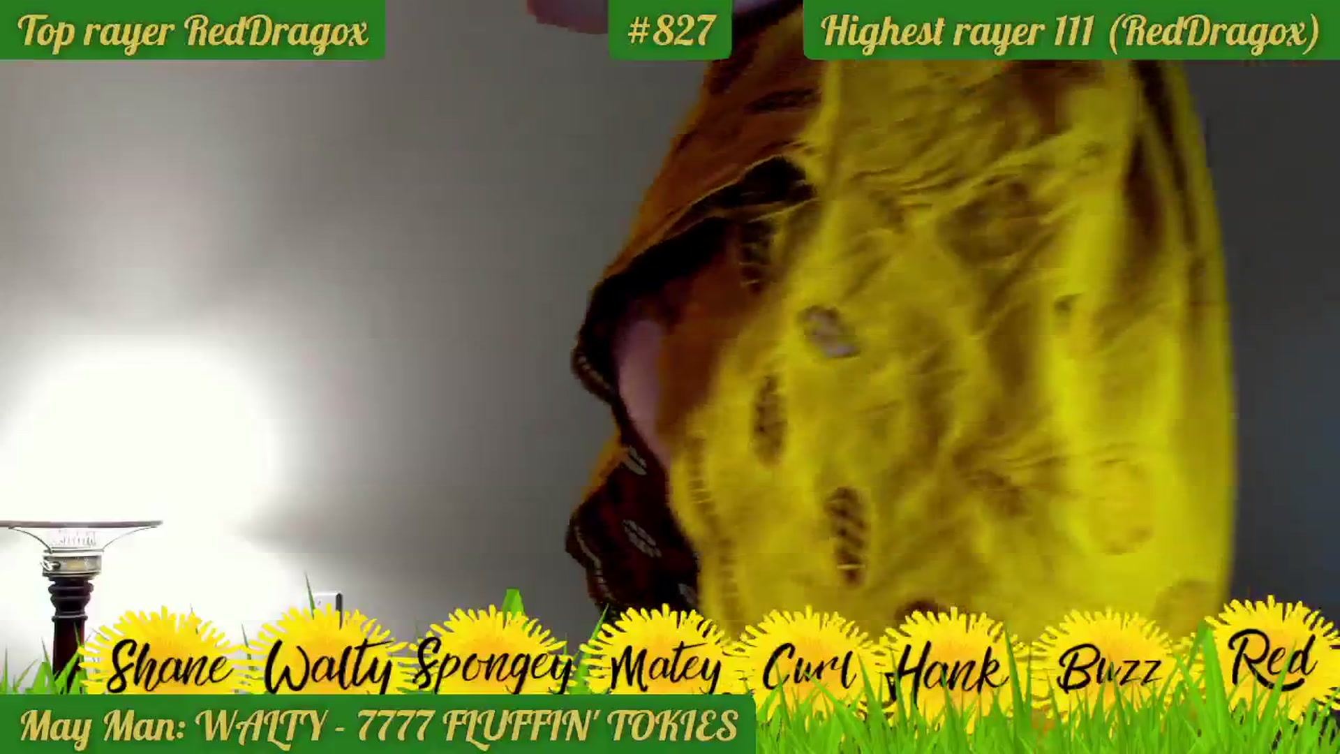 Gallery image thumbnail from FluffinRayRay's myfreecams stream on, 05/25/2024, 02:52 image 13 of 20