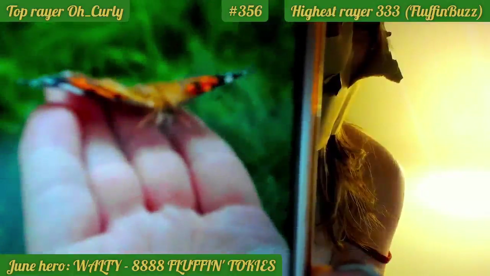 Gallery image thumbnail from FluffinRayRay's myfreecams stream on, 06/06/2024, 02:13 image 12 of 20