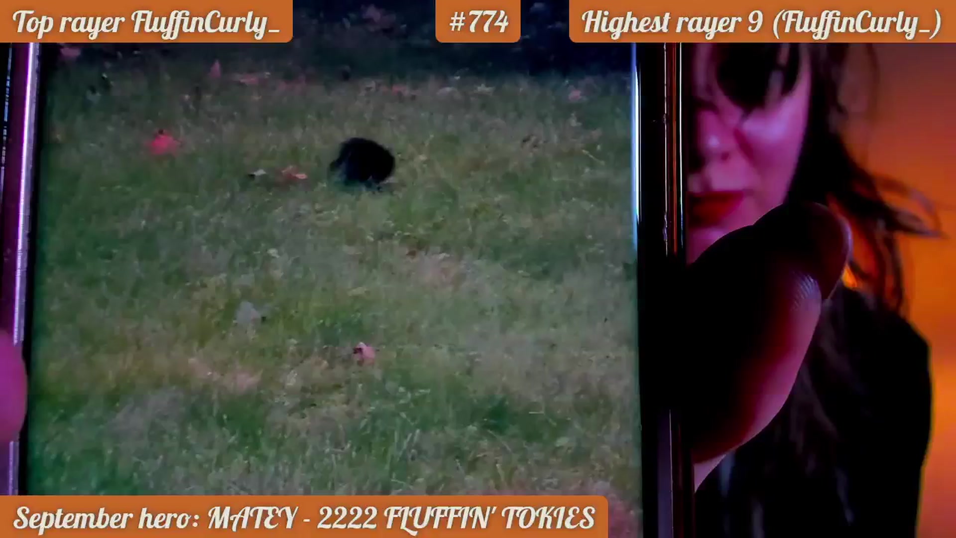Gallery image thumbnail from FluffinRayRay's myfreecams stream on, 09/10/2024, 24:00 image 4 of 20
