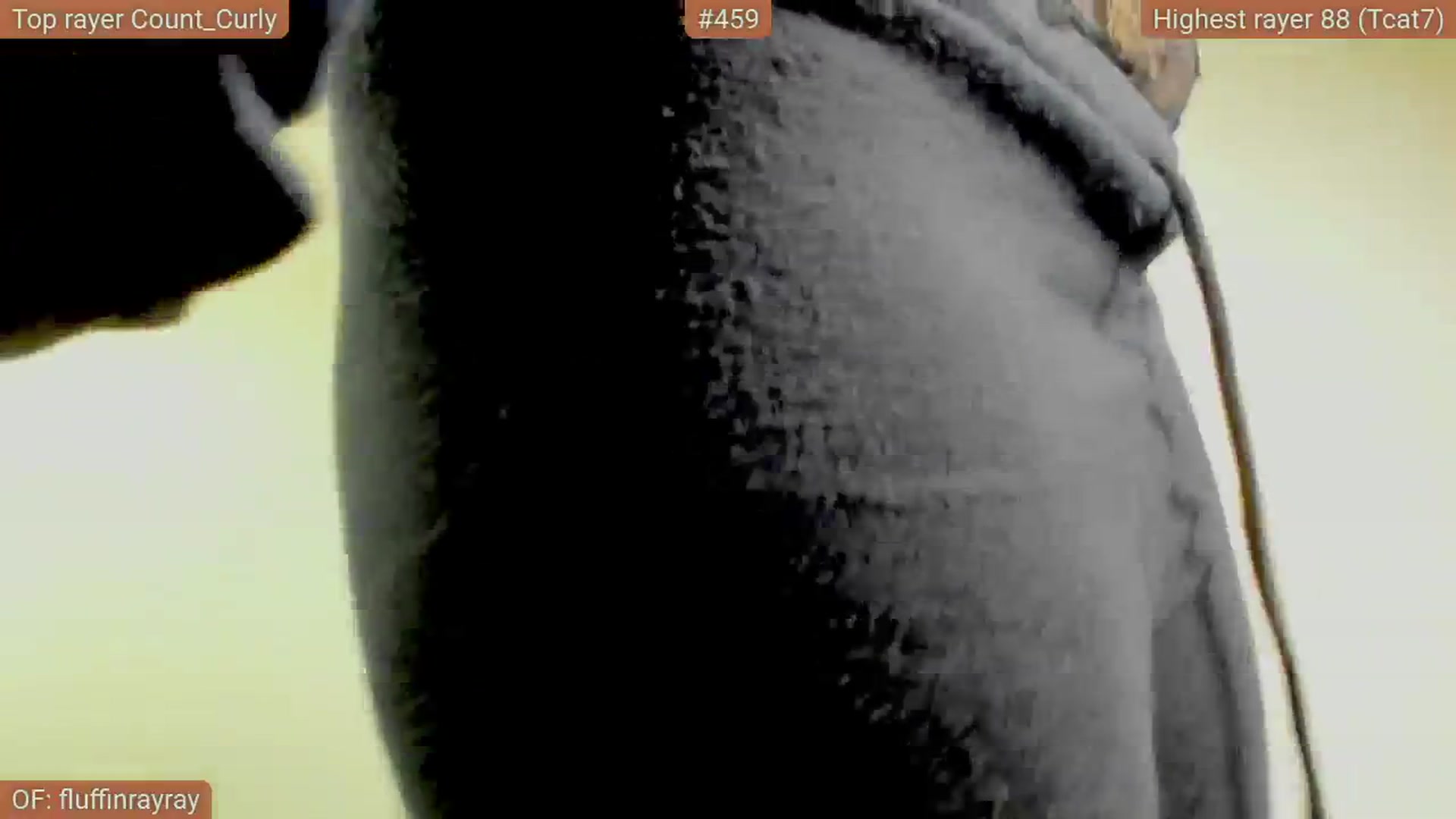 Gallery image thumbnail from FluffinRayRay's myfreecams stream on, 10/03/2025, 02:19 image 8 of 20