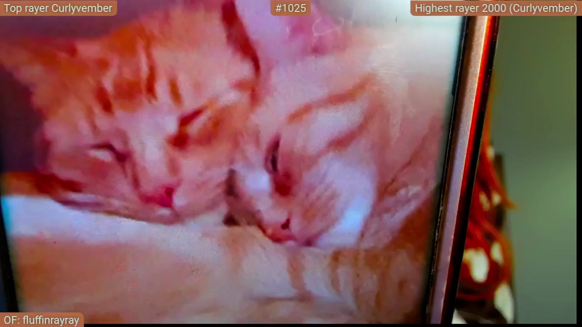 Gallery image thumbnail from FluffinRayRay's myfreecams stream on, 11/18/2025, 02:31 image 4 of 20