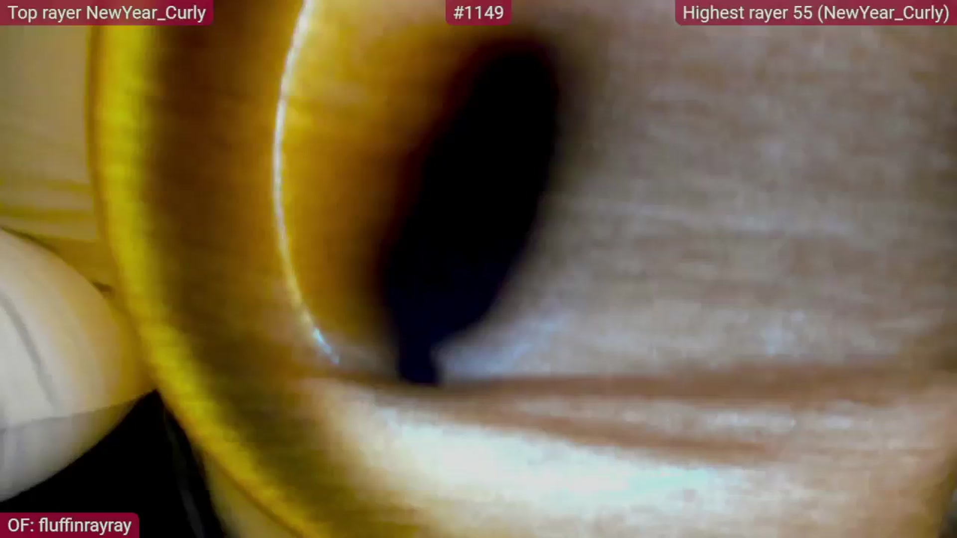 Gallery image thumbnail from FluffinRayRay's myfreecams stream on, 01/05/2026, 02:29 image 1 of 20